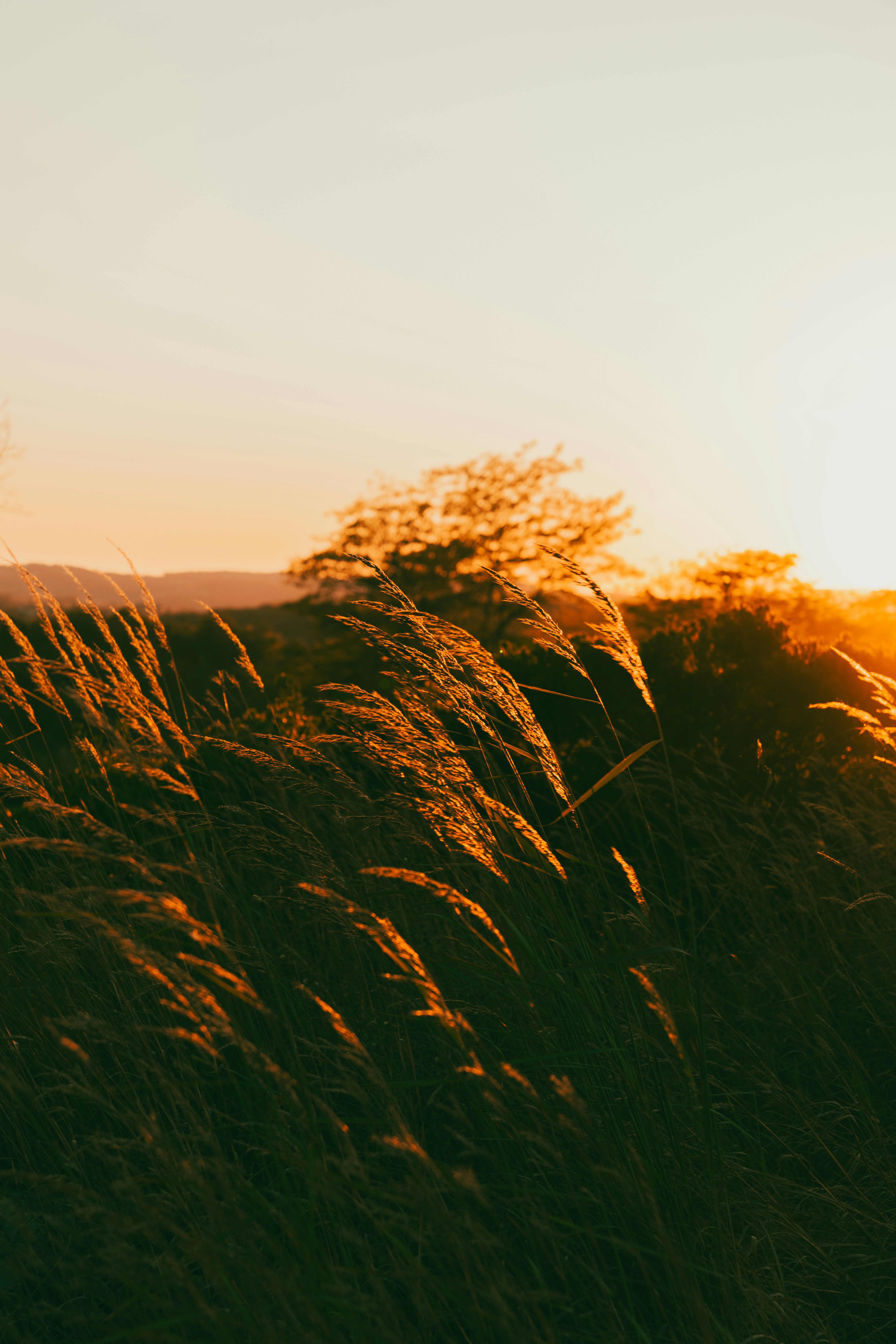 Photo by nellie_adamyan