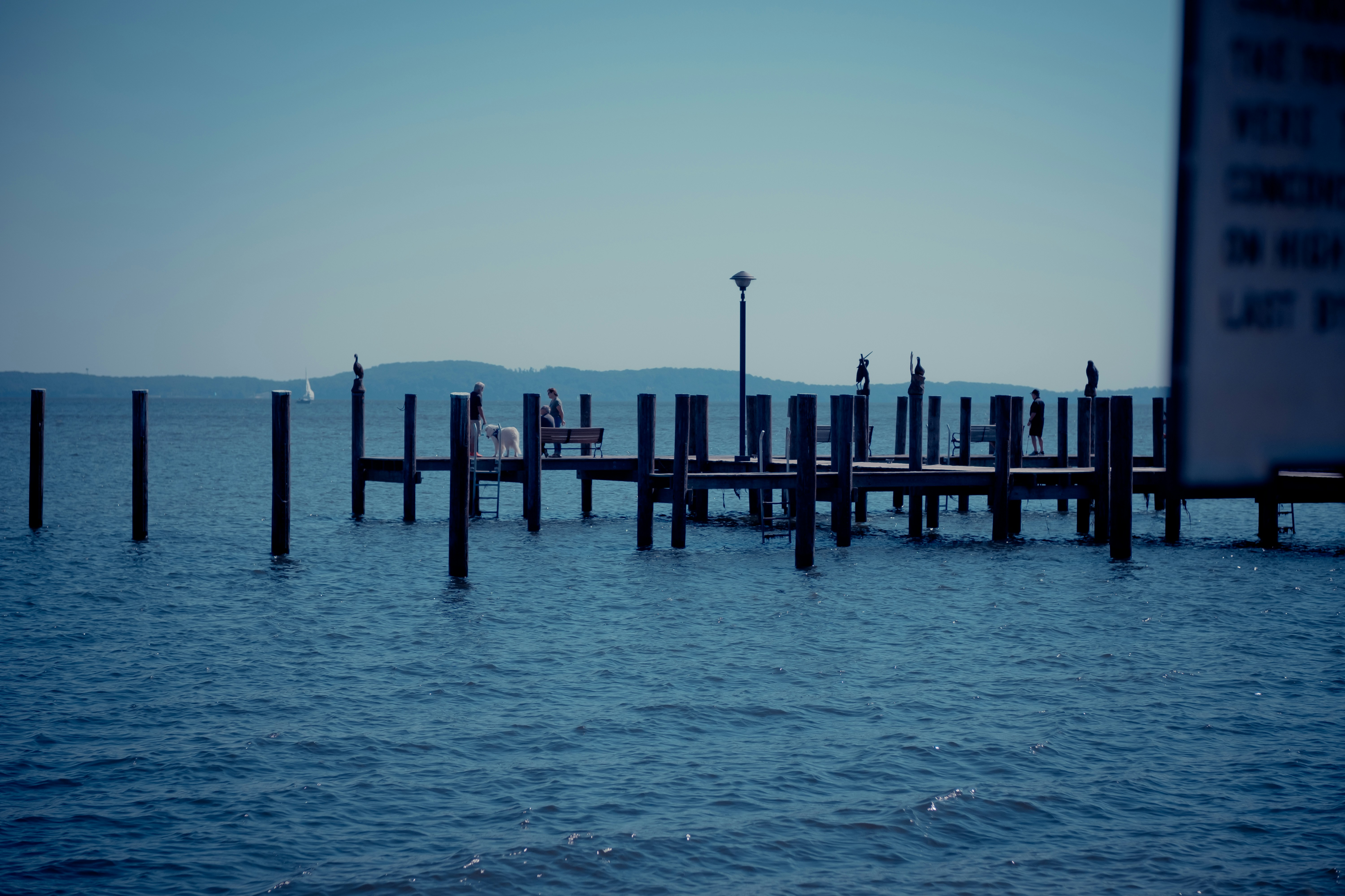 Photo by magicunsplash