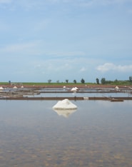 A large body of water filled with lots of water