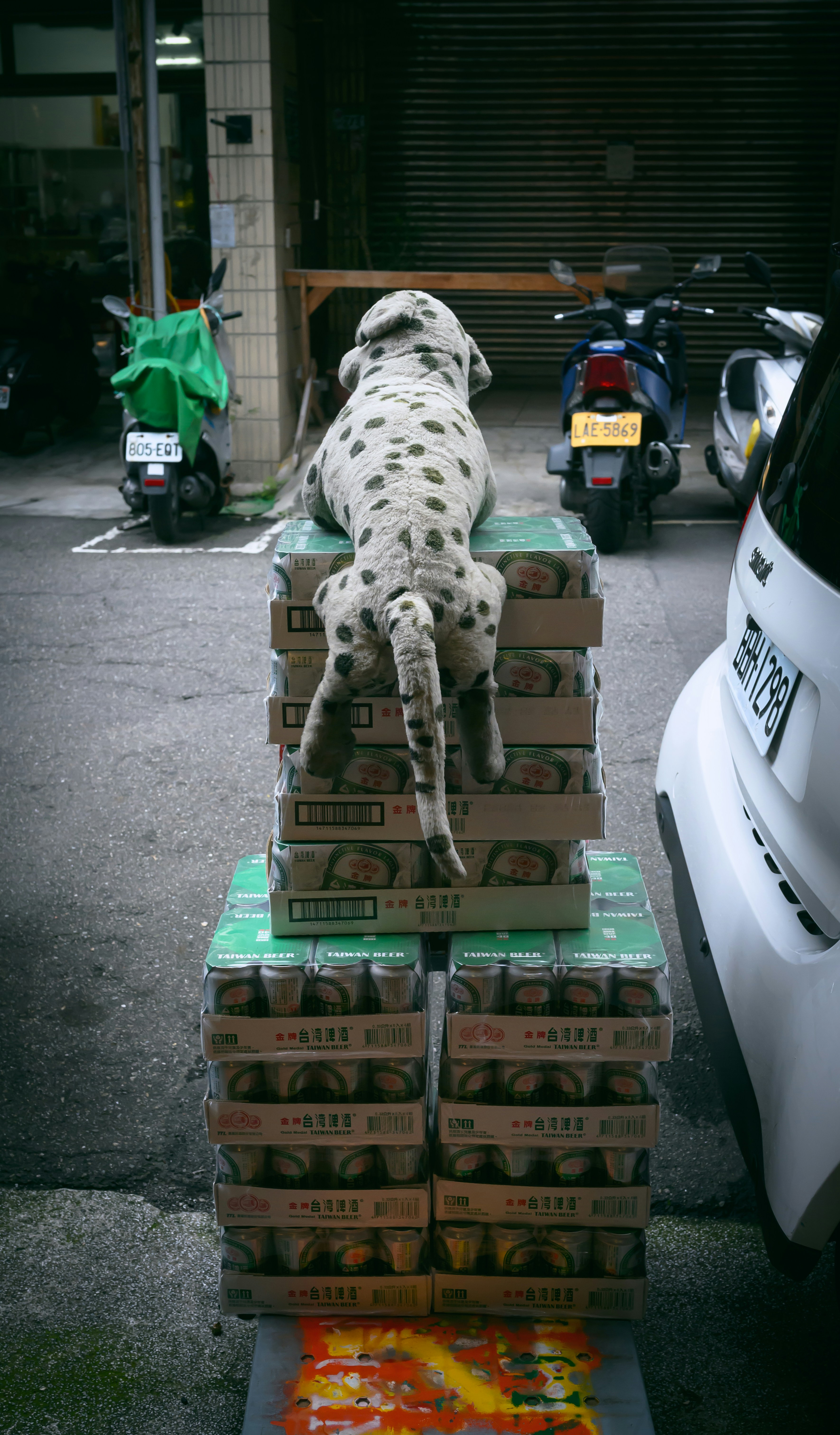 Proper storage of dog food