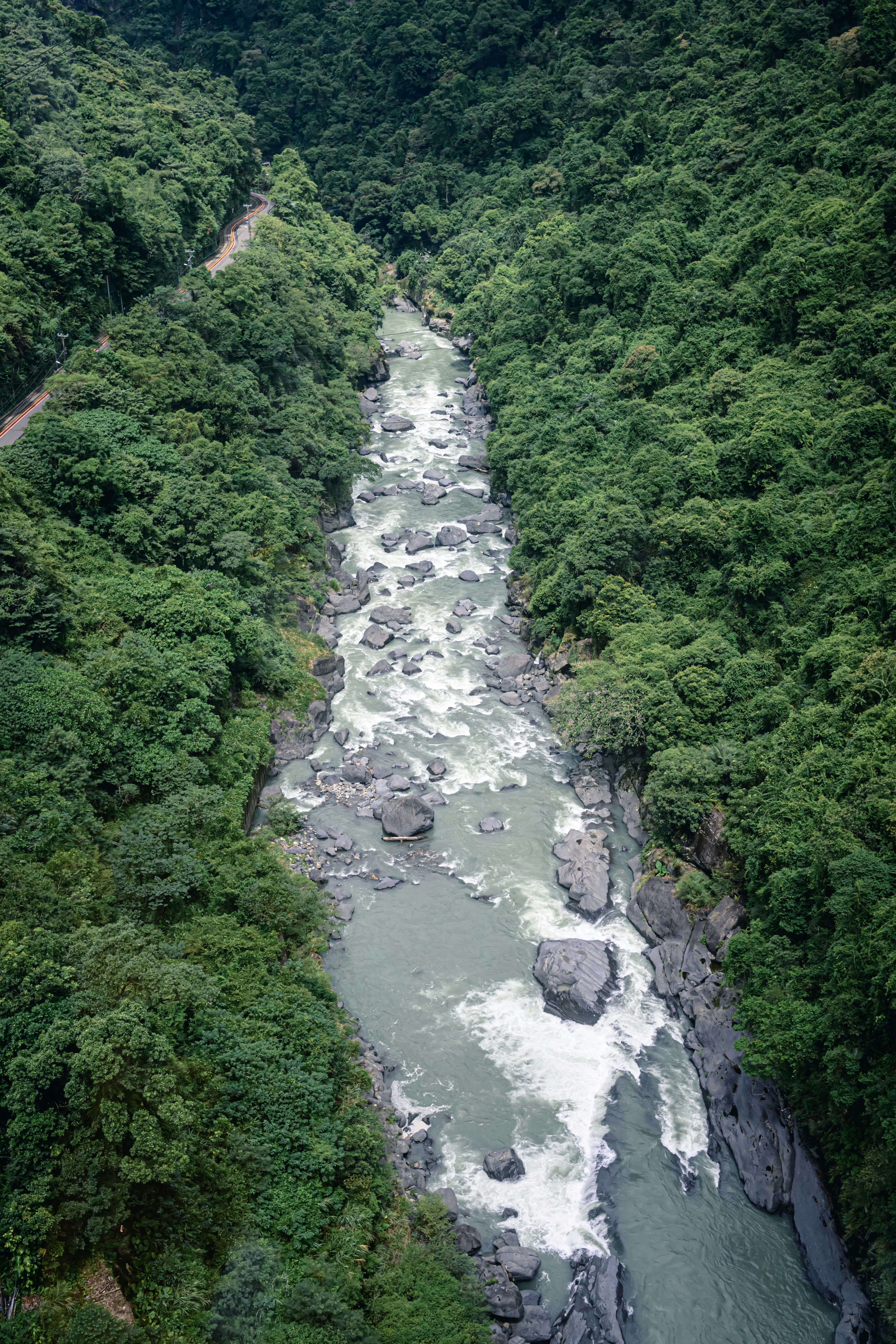 유동부 치아바타 관련 이미지1