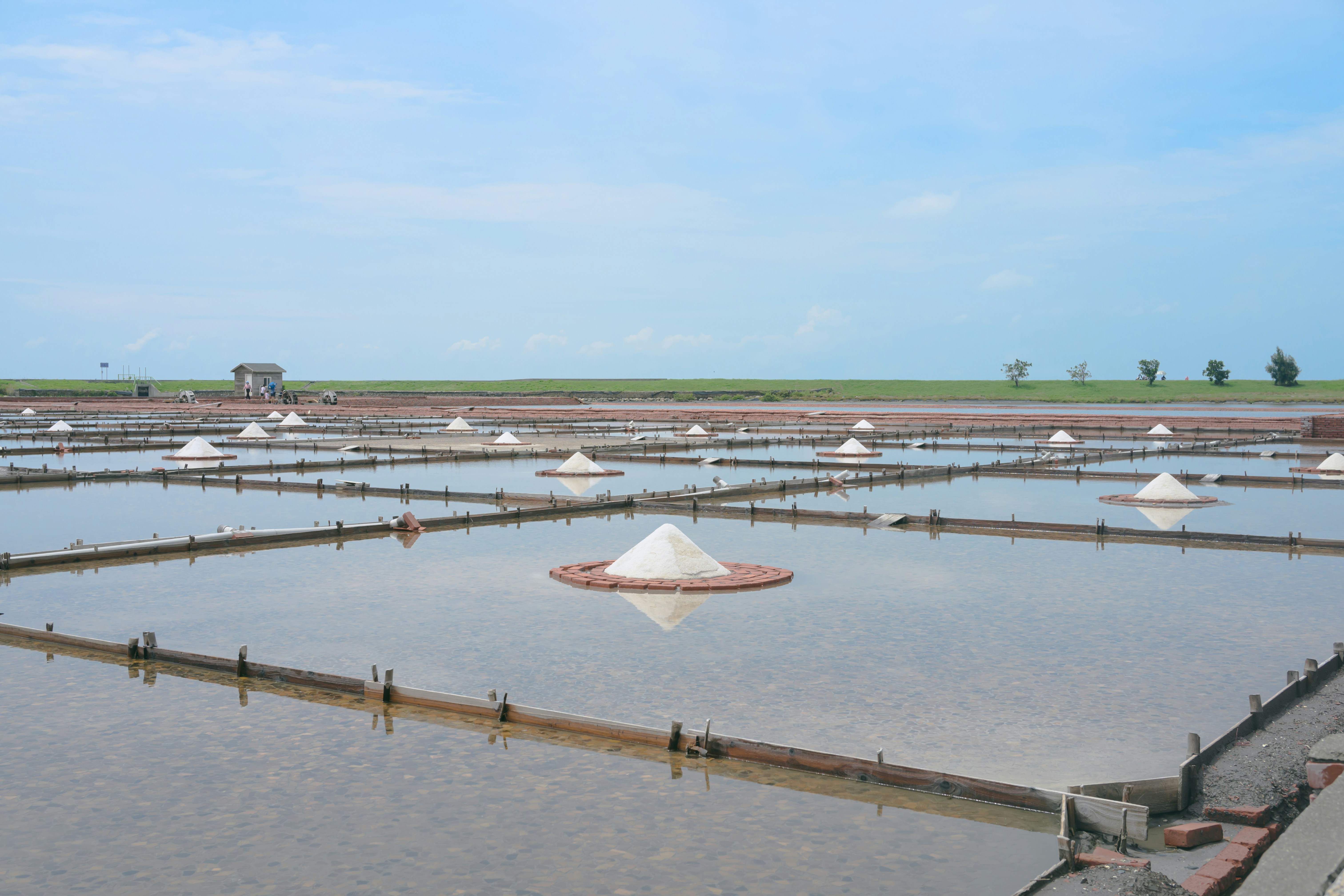 A large pond filled with lots of water