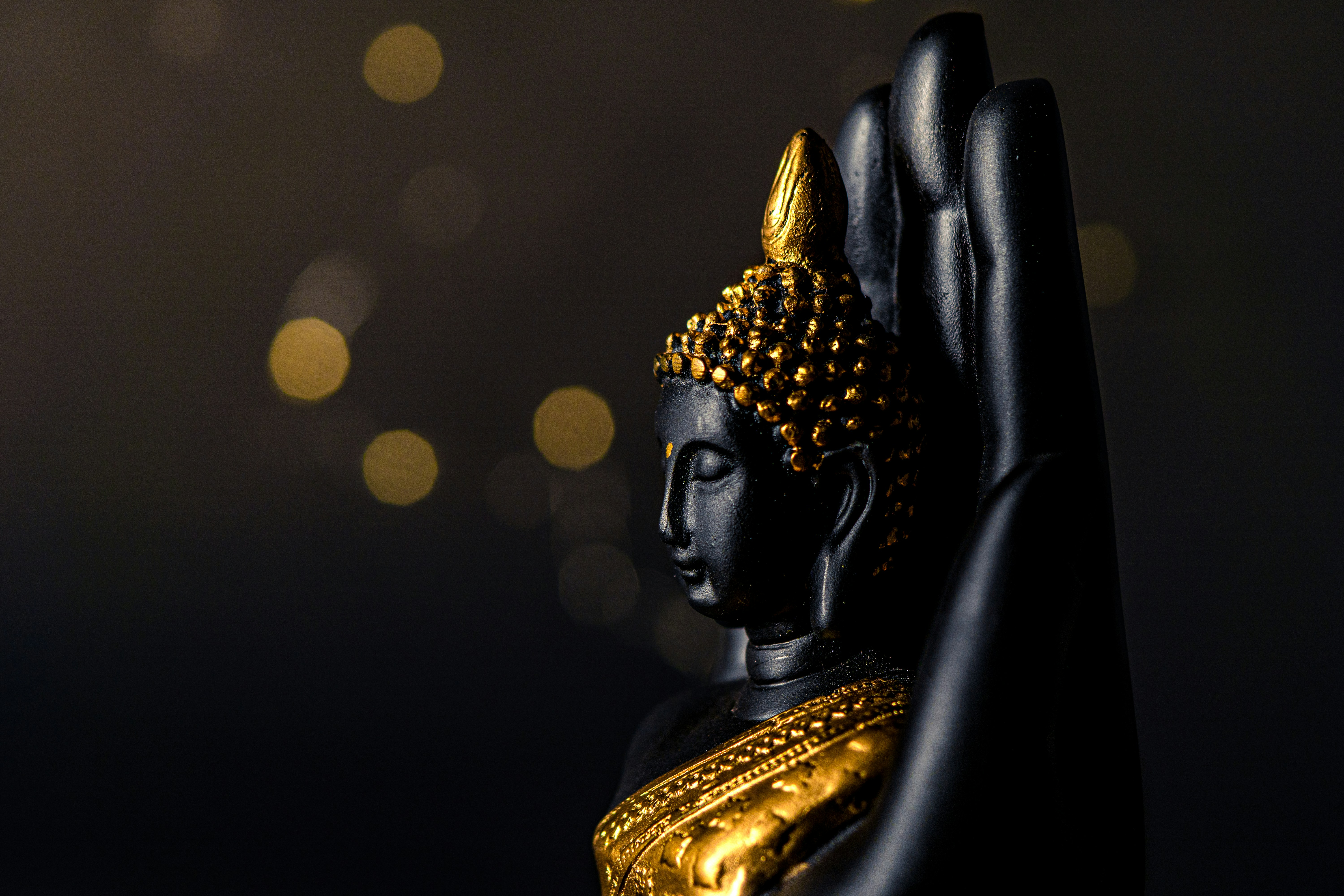 Photo by pranav1124