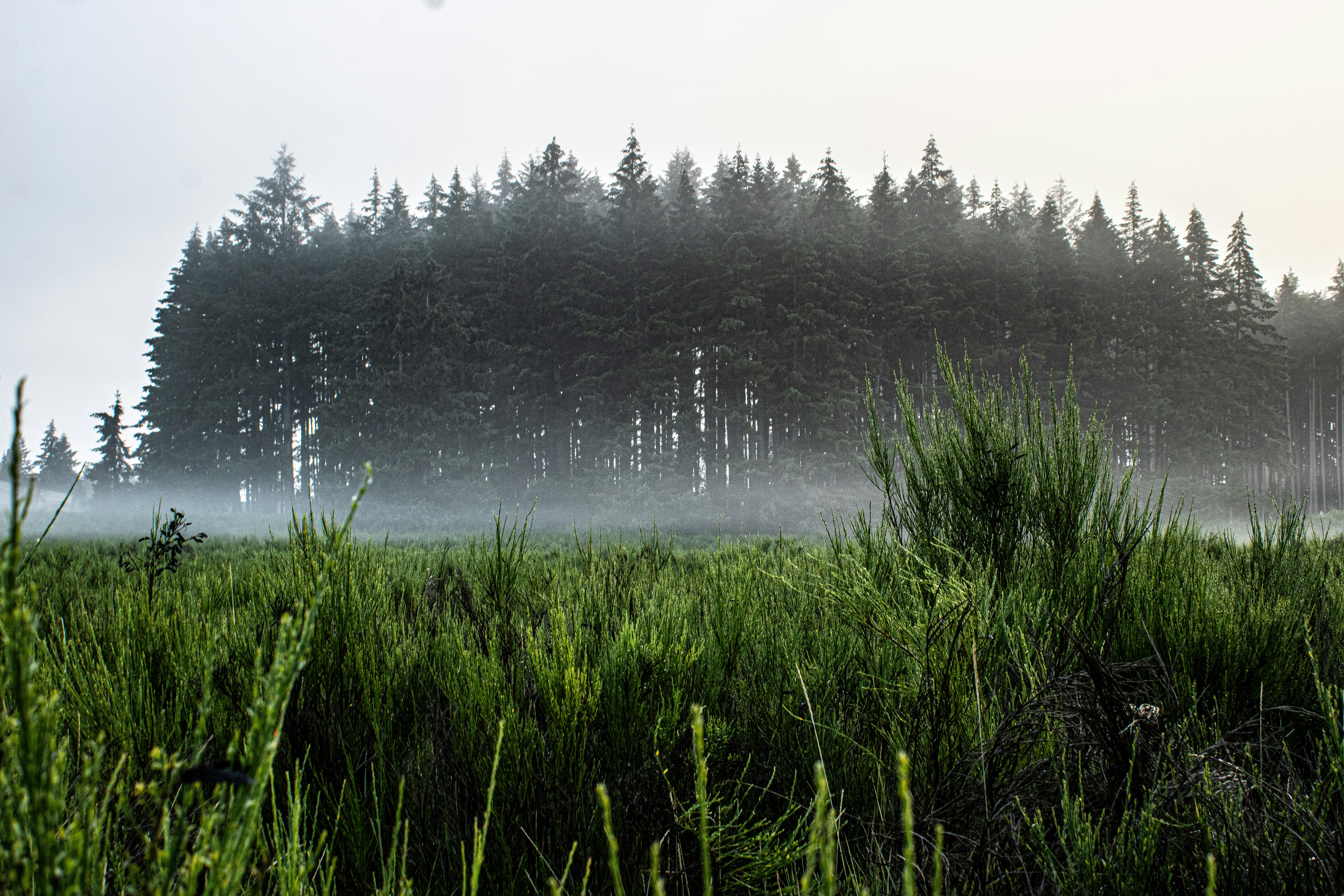 Photo by prphotography262