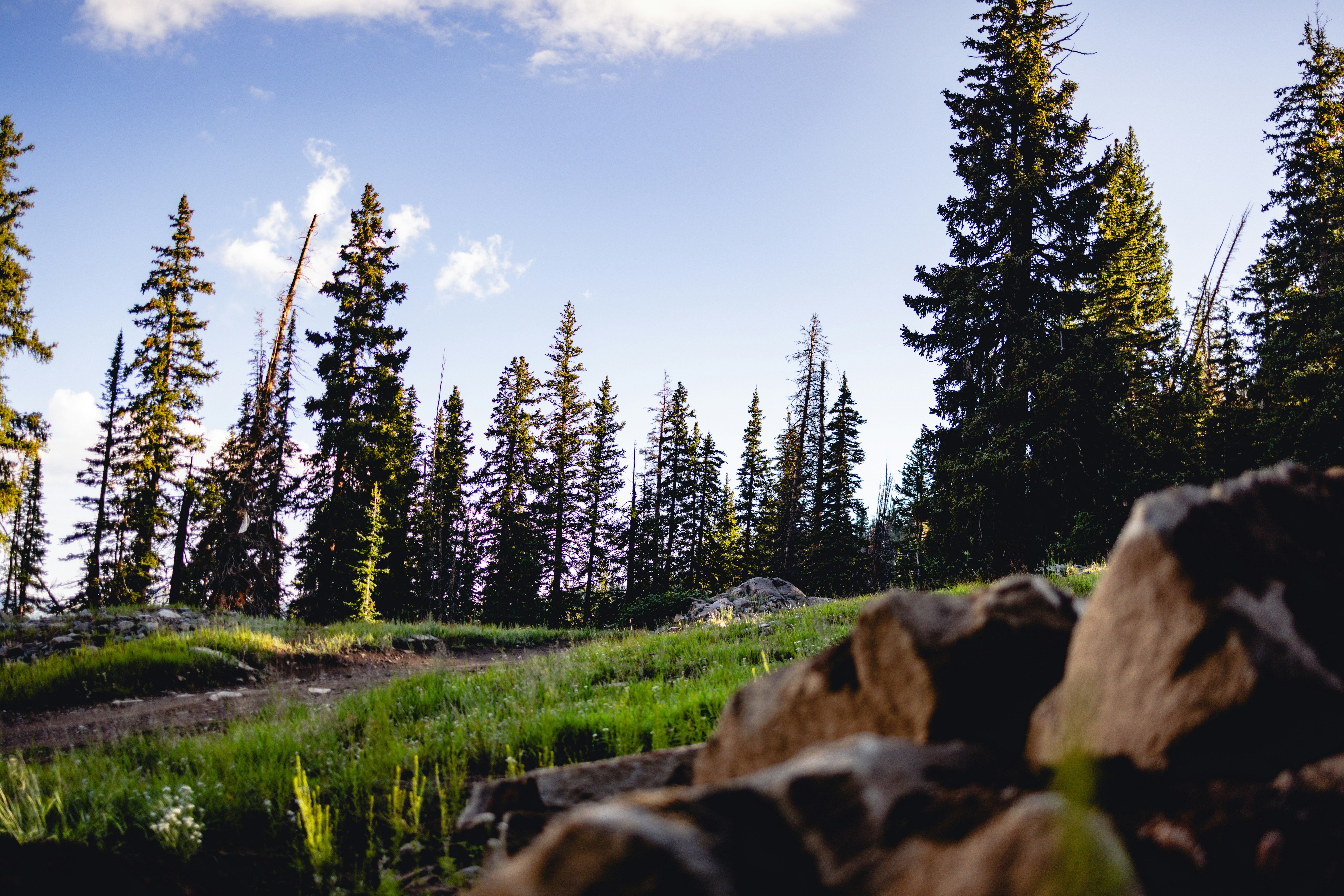 Photo by thetrentonsmith