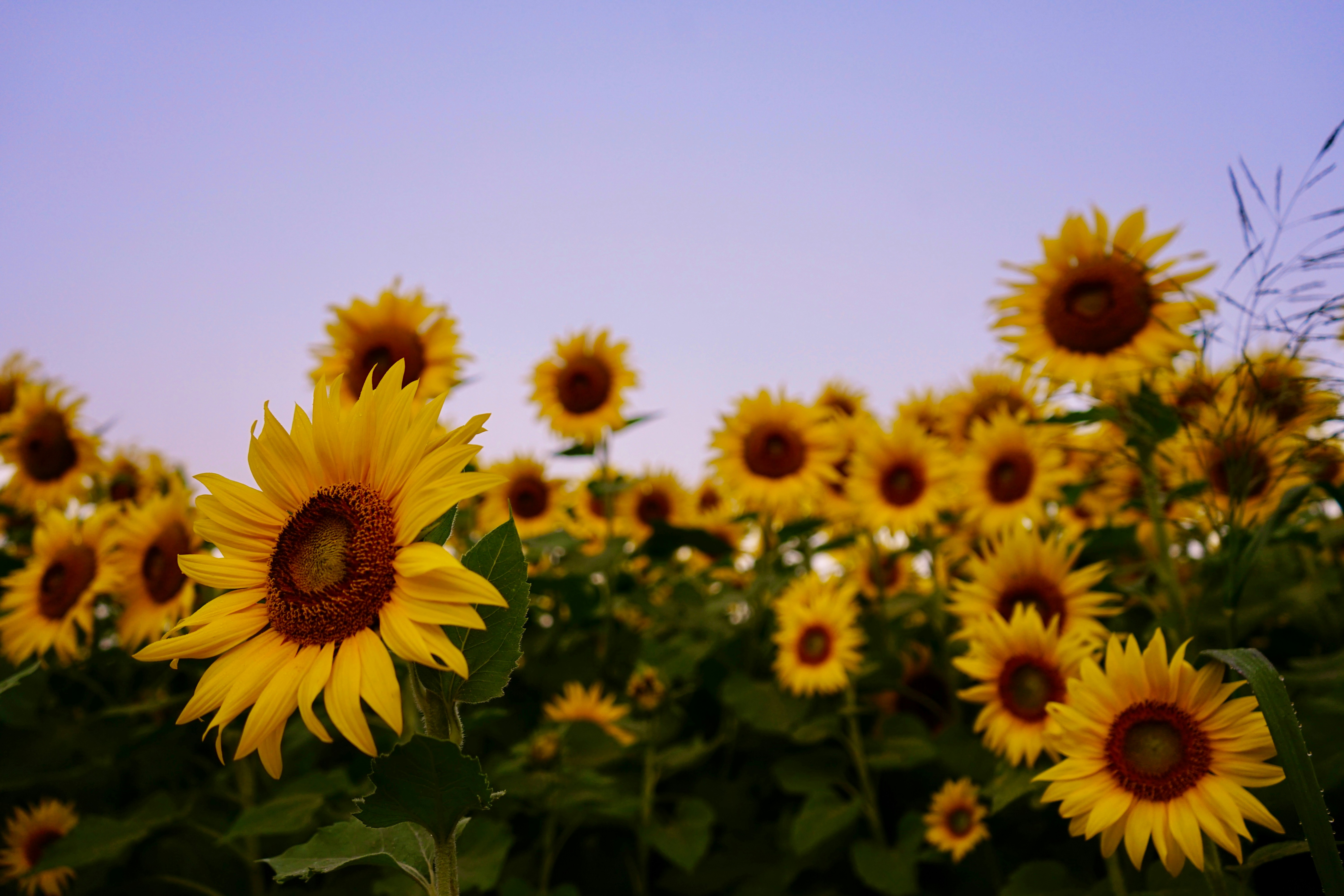 Photo by adventuresofc_i