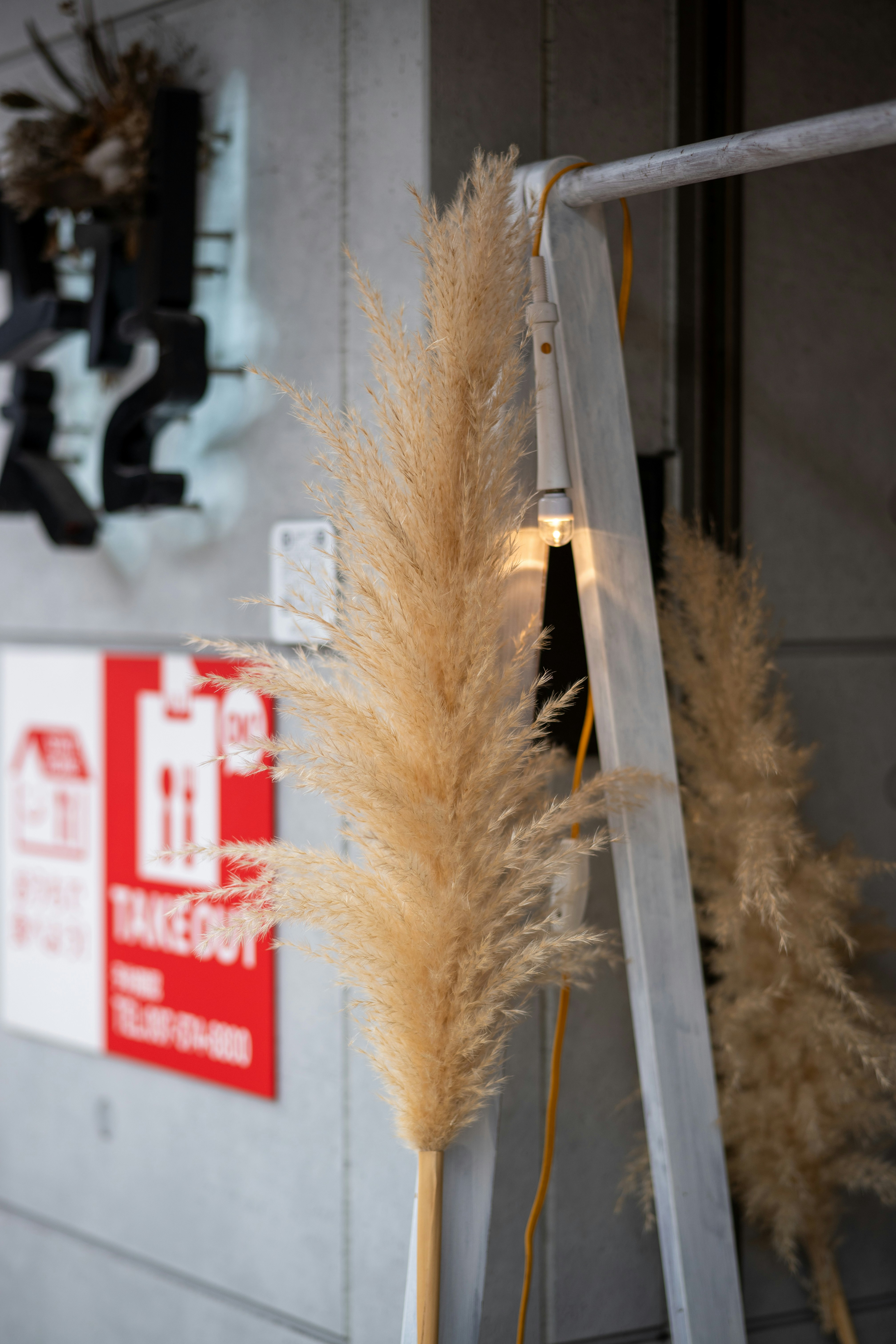 A metal ladder with a plant on top of it