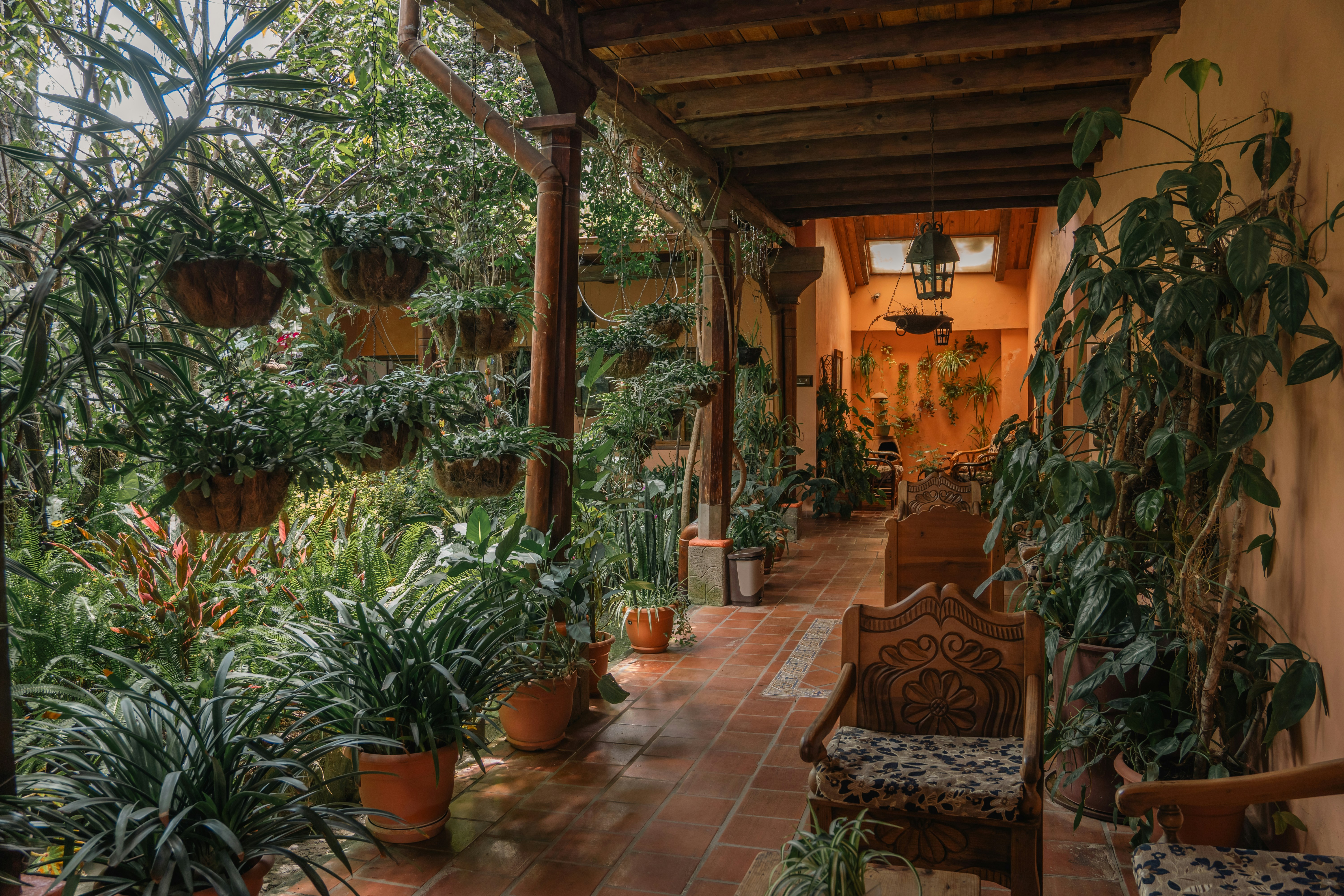 Photo by hectoremilio