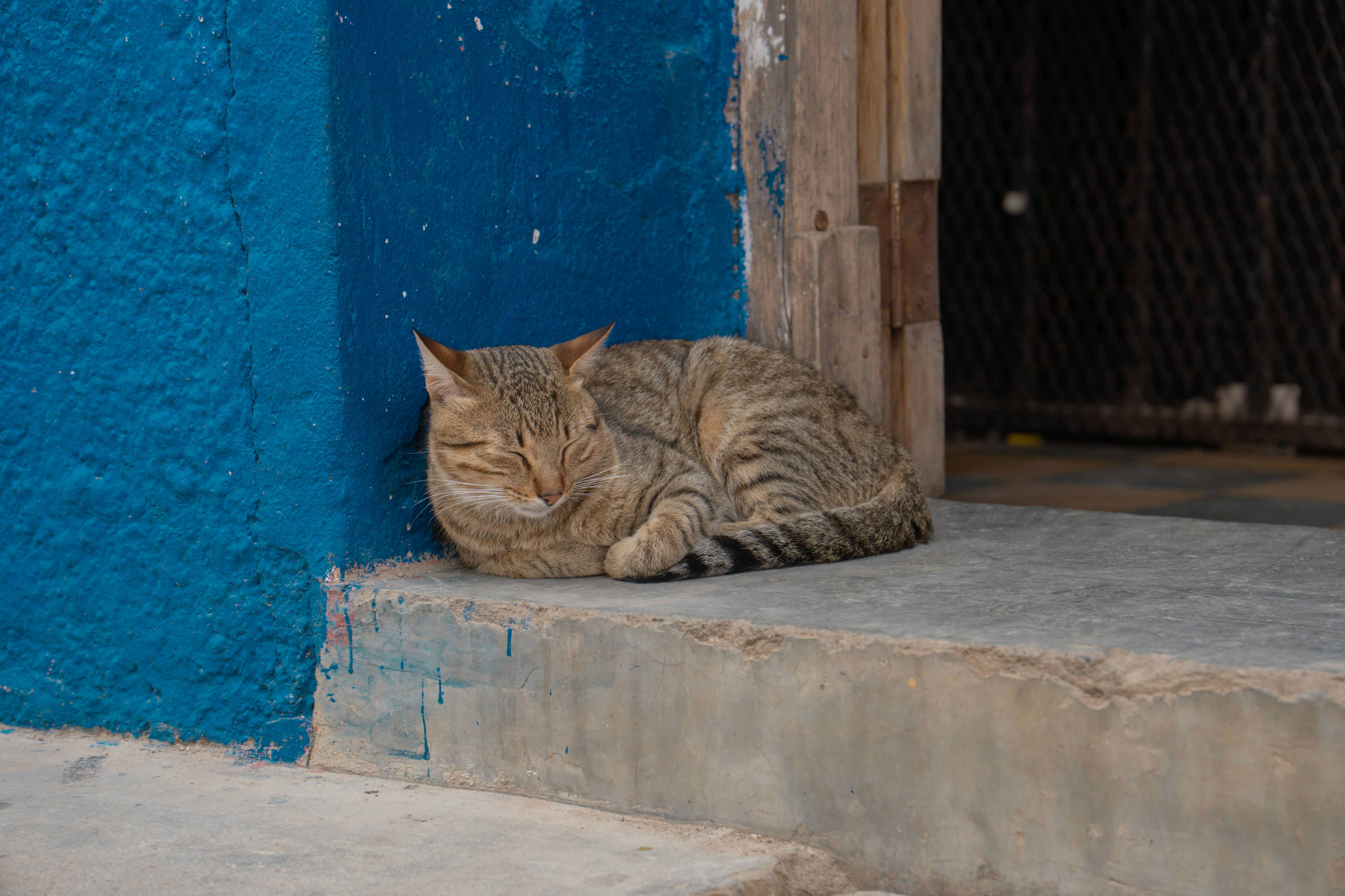 Photo by hectoremilio