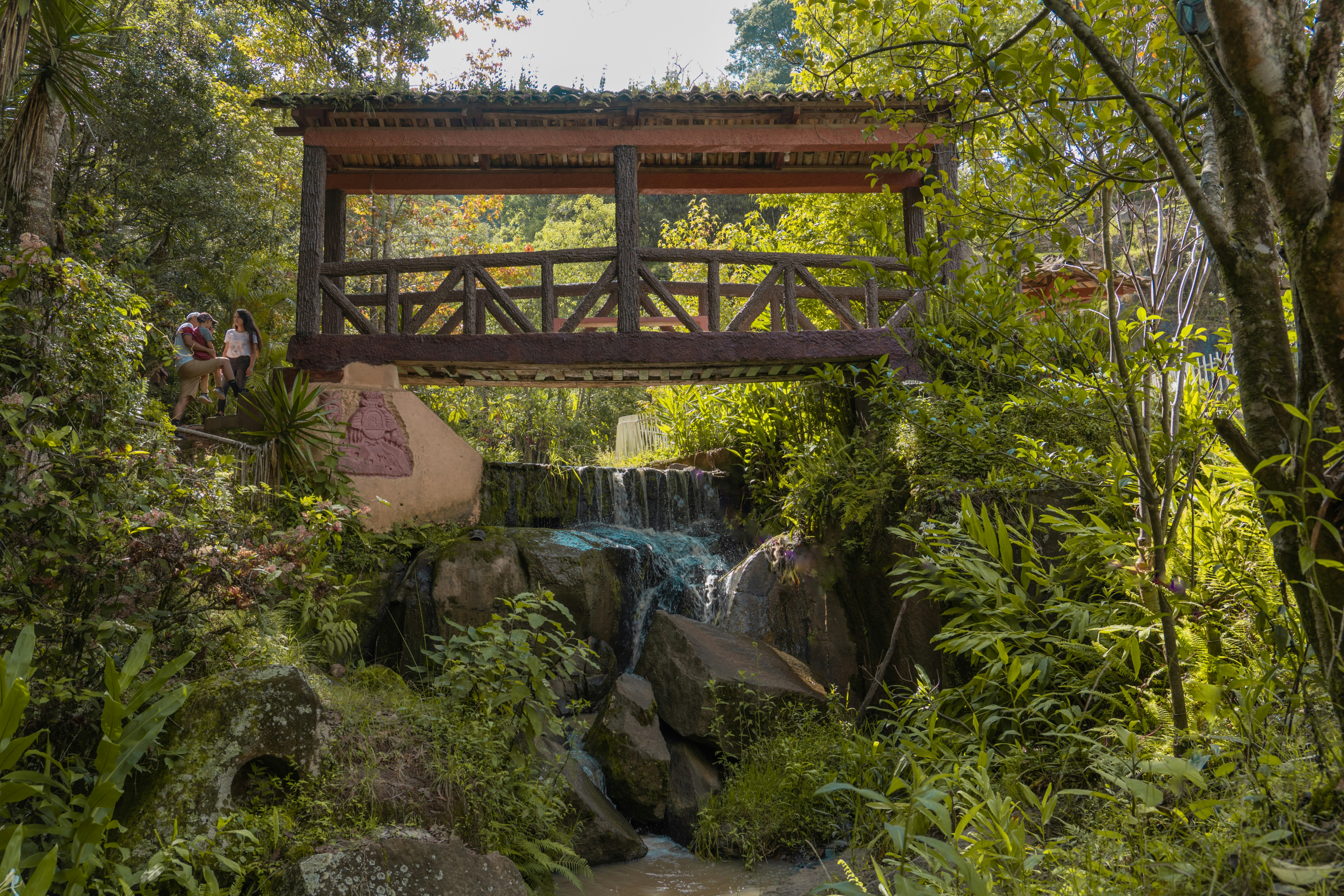 Photo by hectoremilio