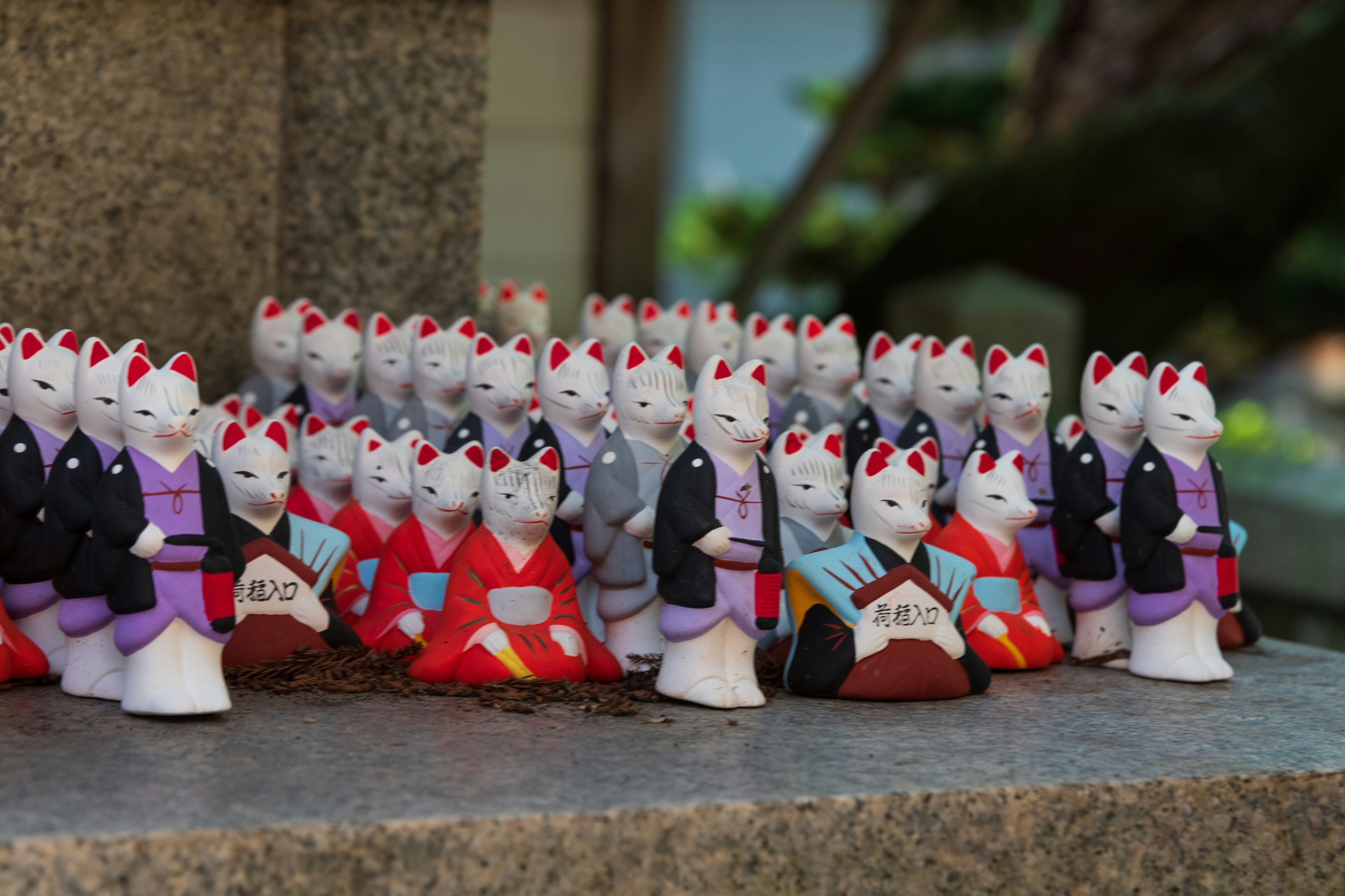 Photo by translytranslations