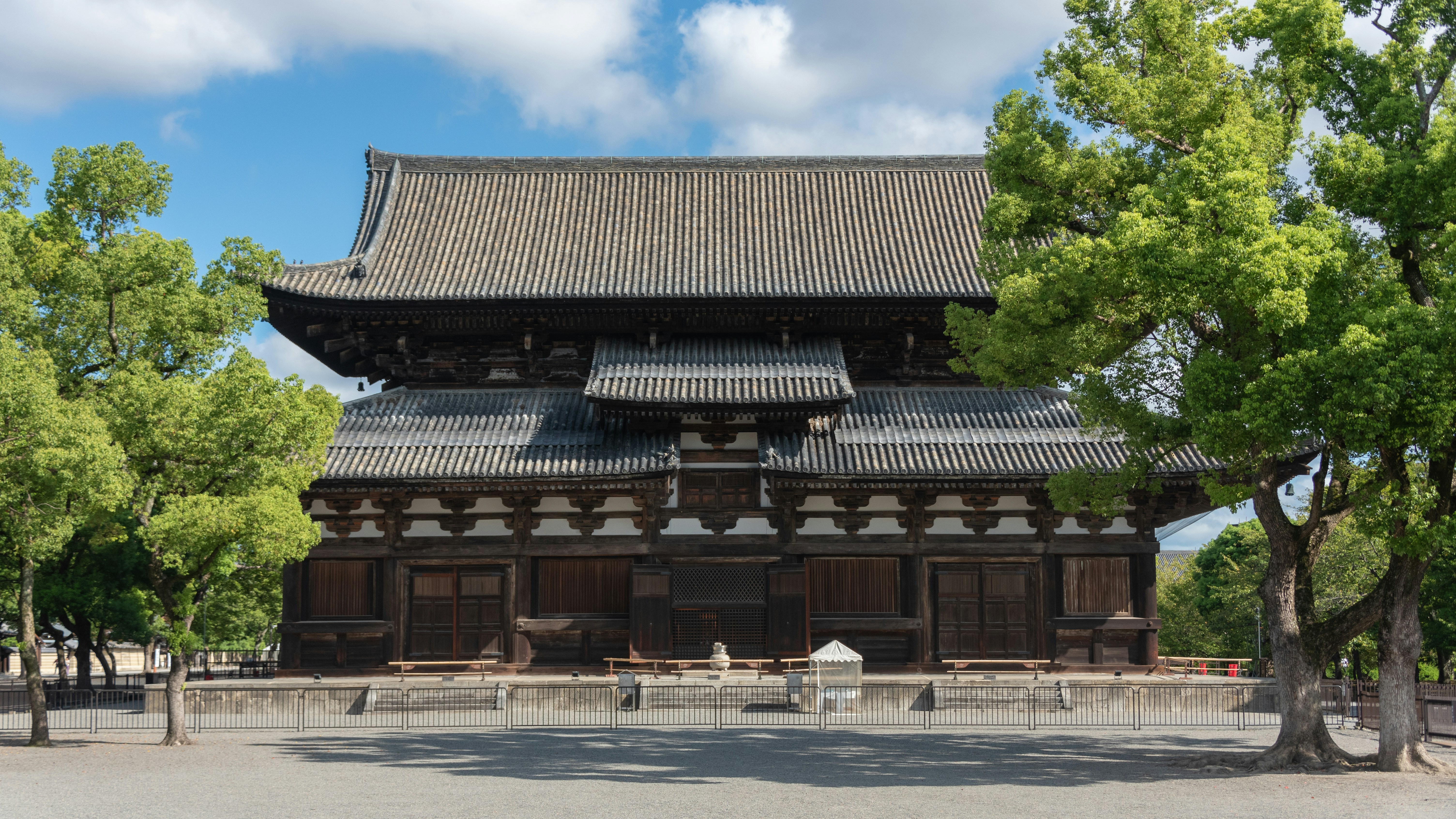 Photo by translytranslations