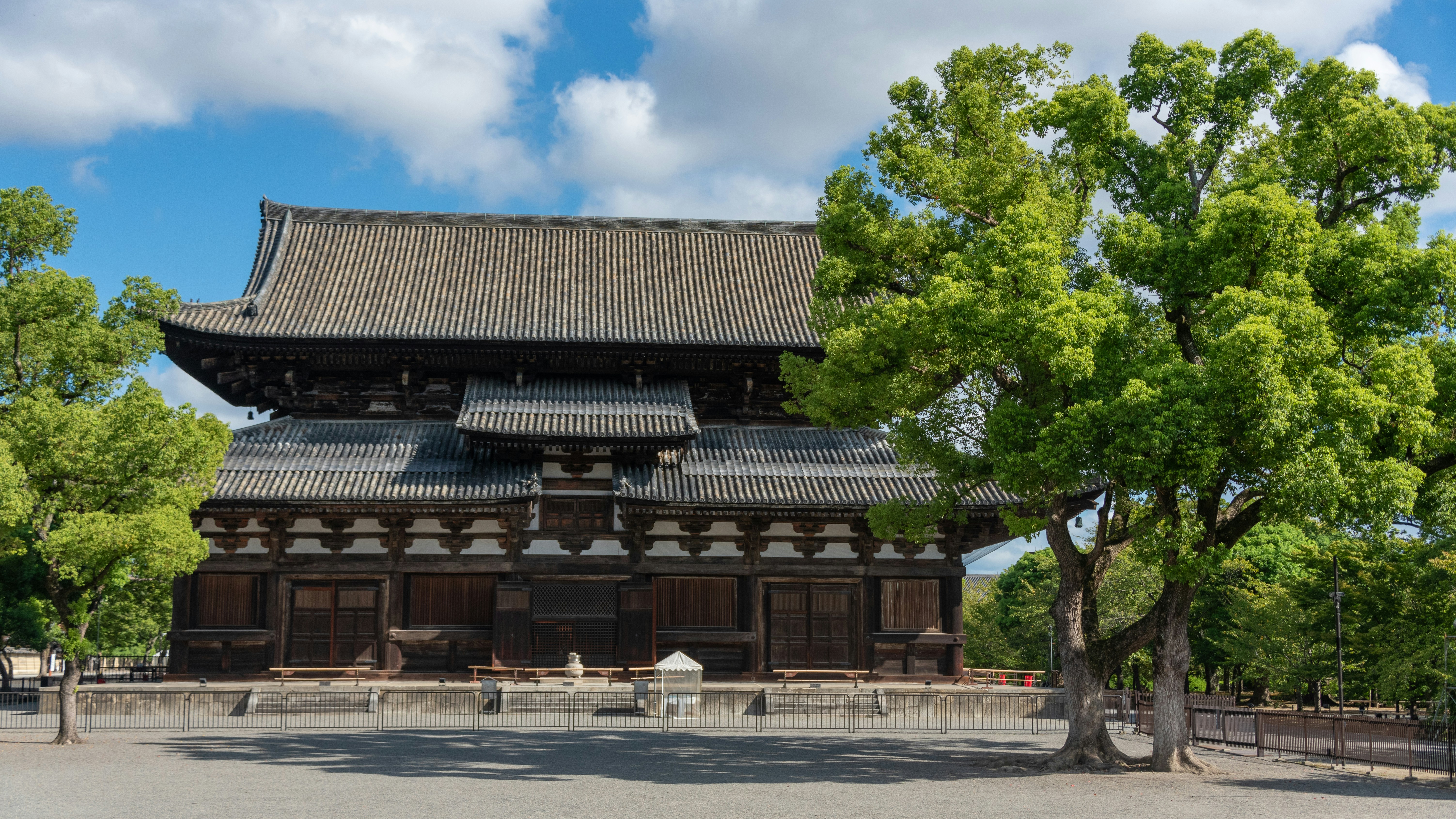 Photo by translytranslations