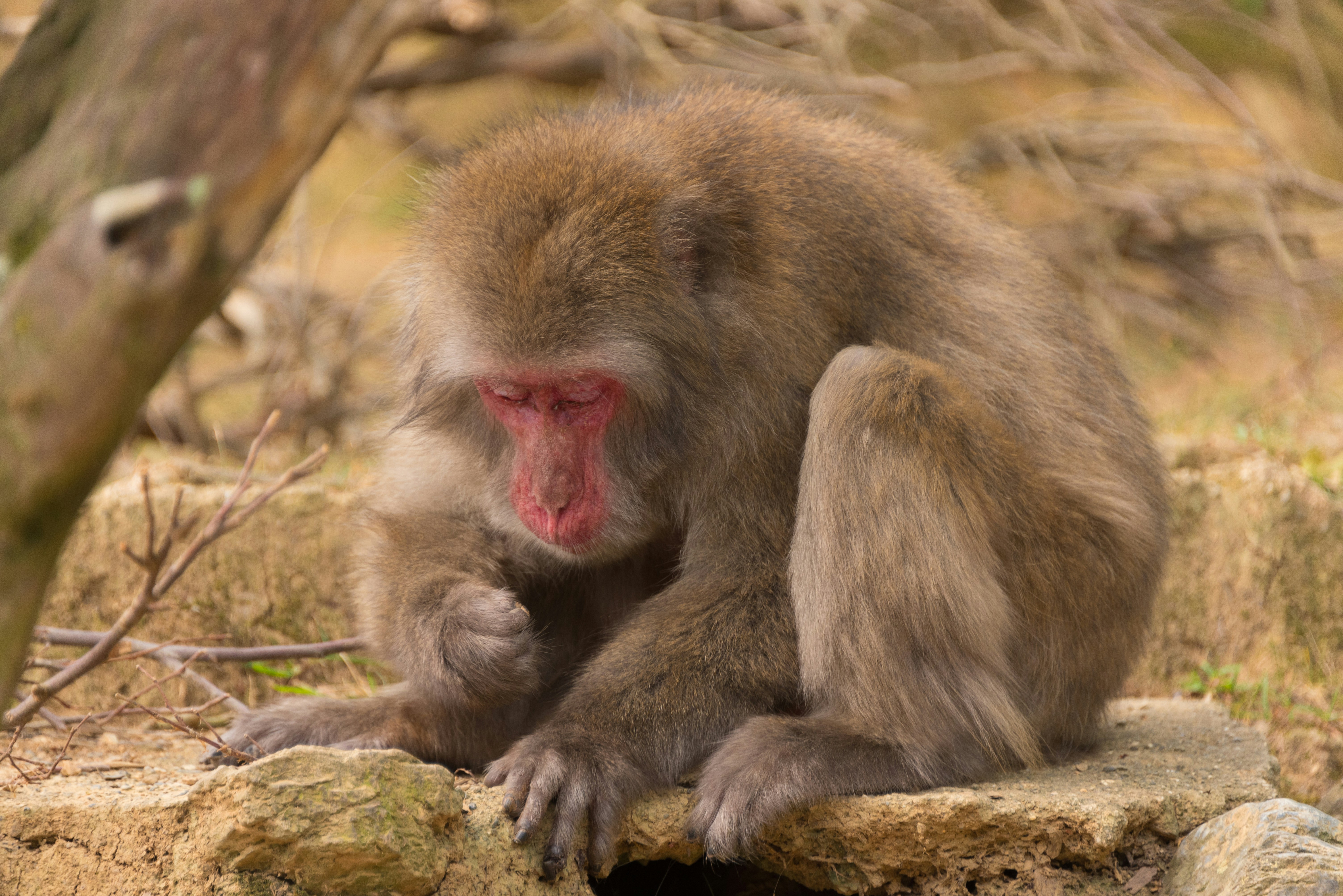 Photo by translytranslations