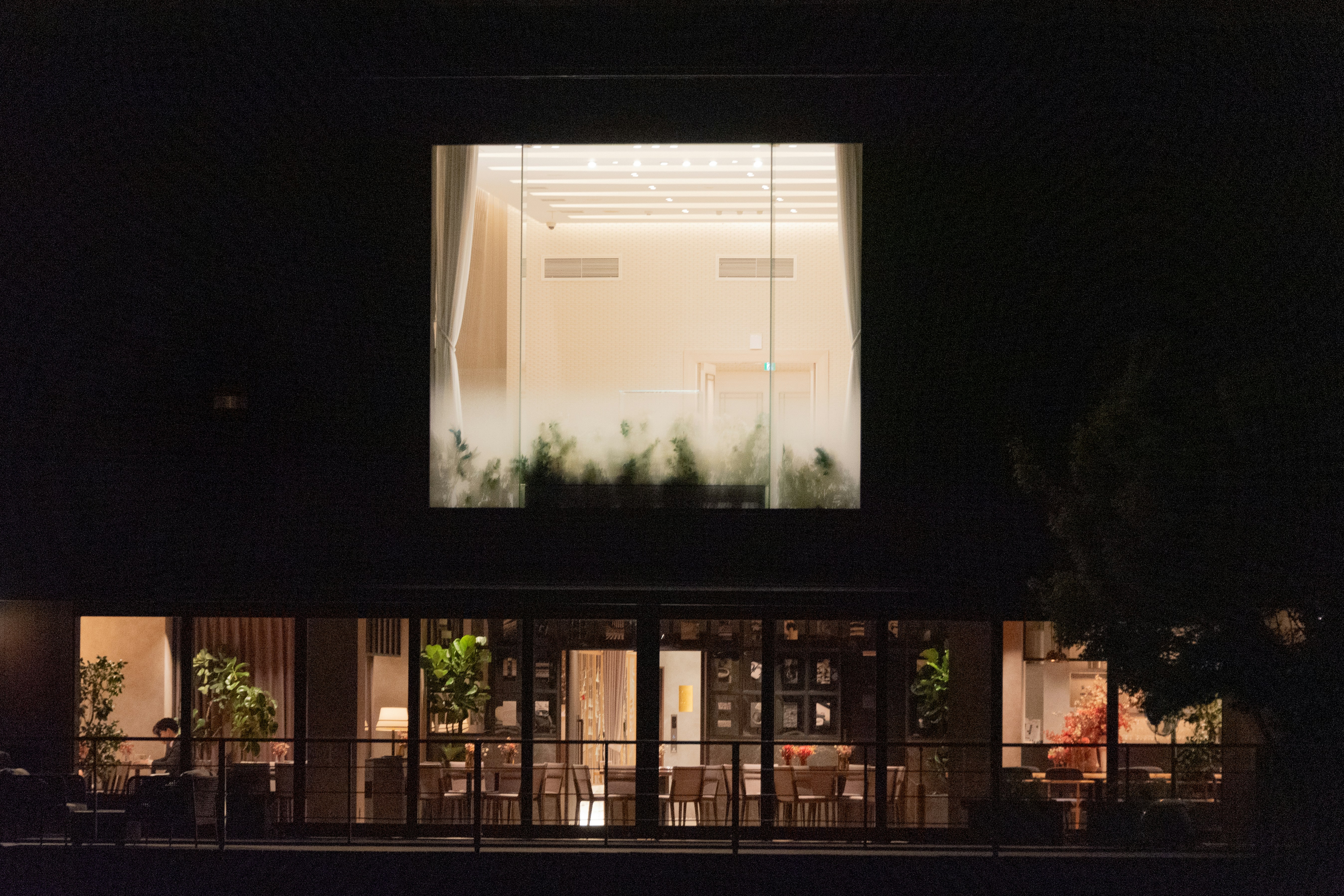 Photo by translytranslations