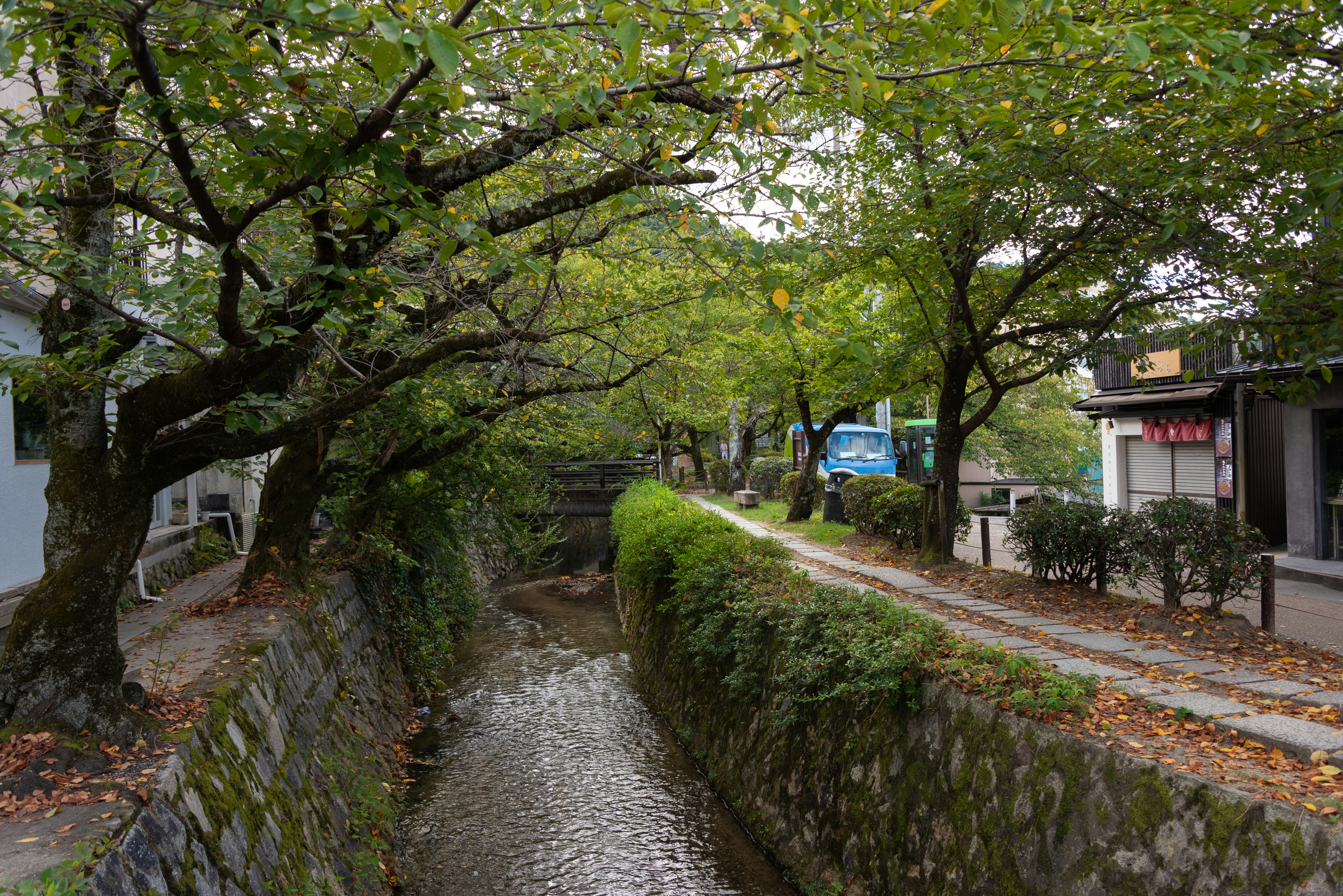 Photo by translytranslations