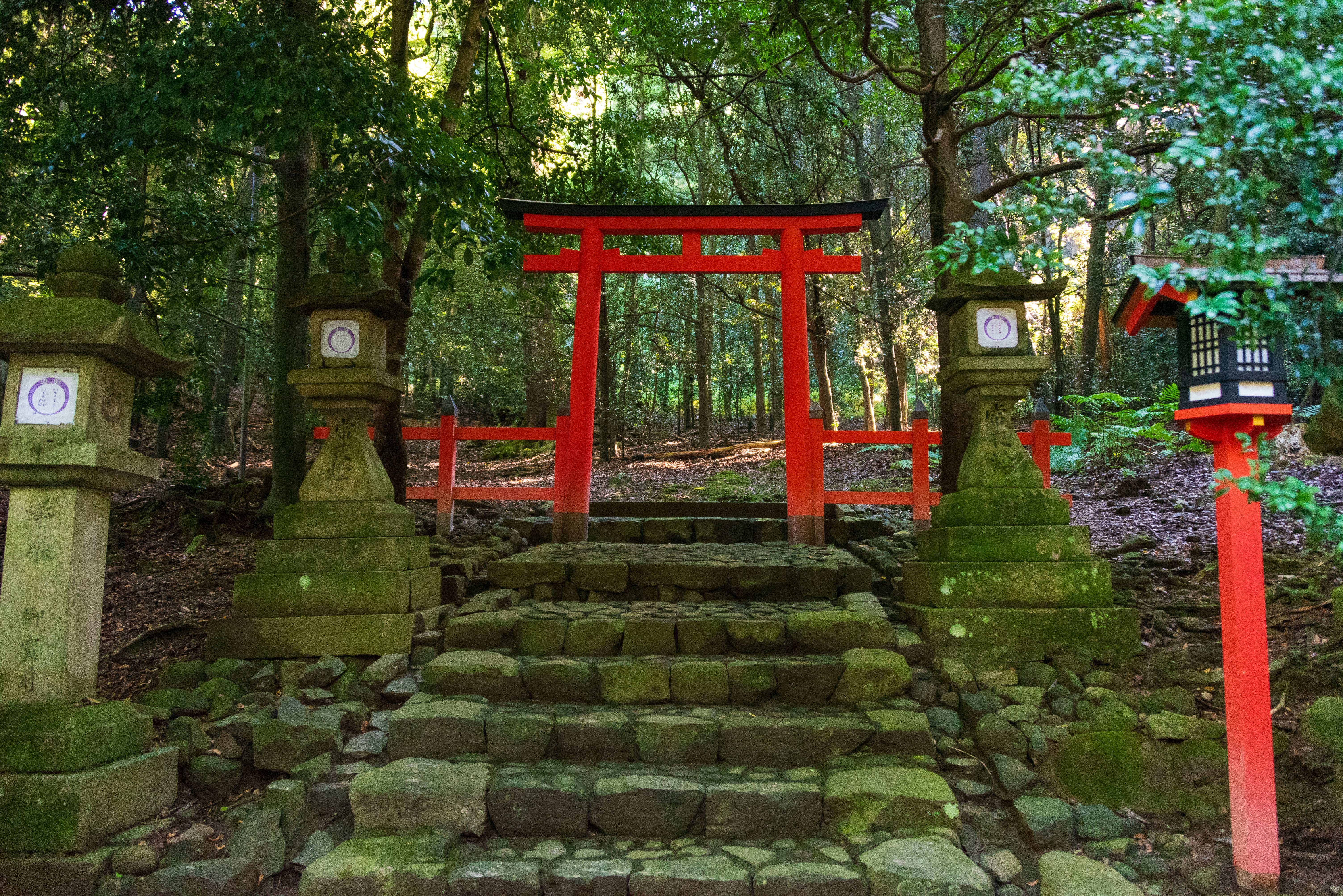 Photo by translytranslations