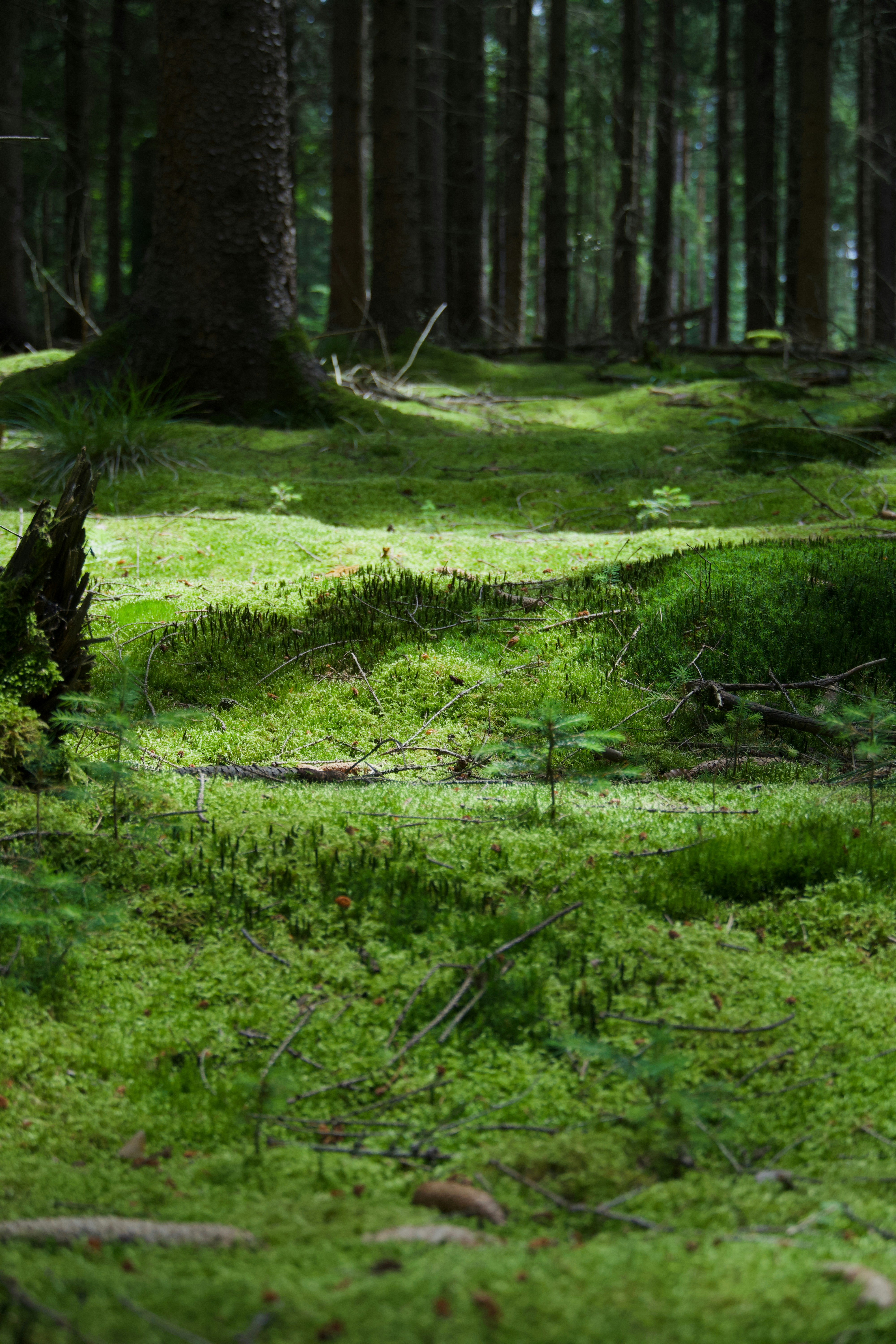 Photo by theodor_jacob