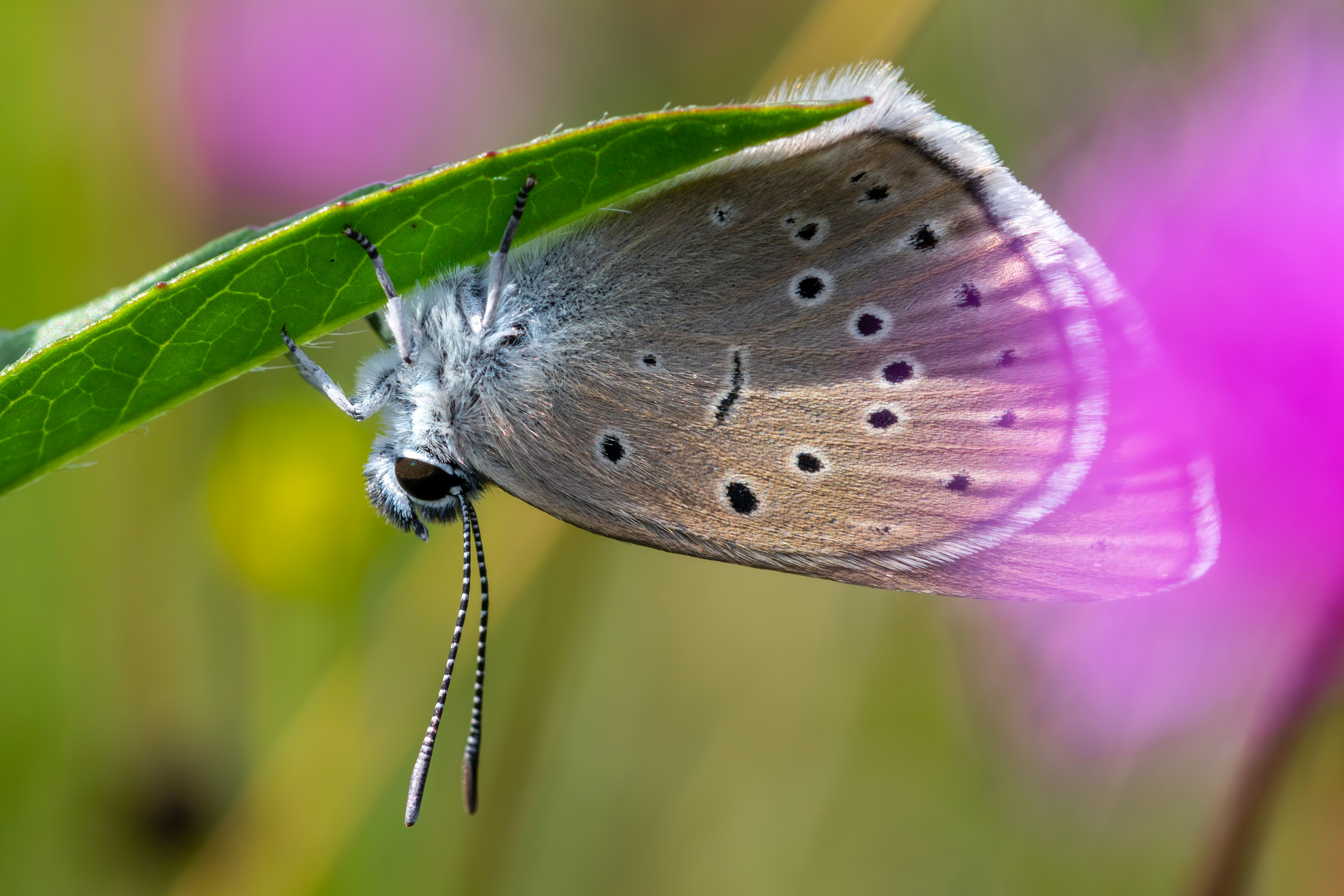 Photo by mathijsdekoning