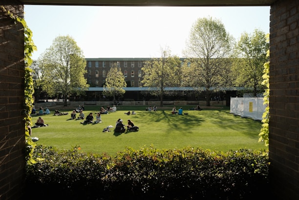 A group of people sitting on top of a lush green field