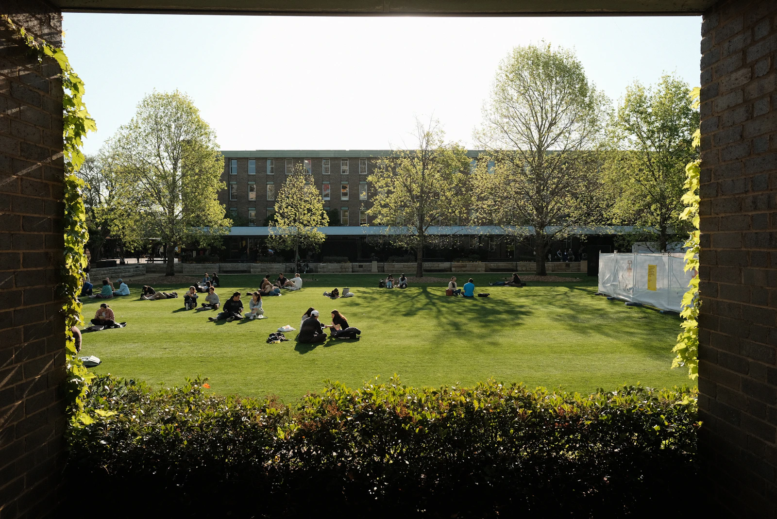The VIDYA lawn seen from the academic quad arcade
