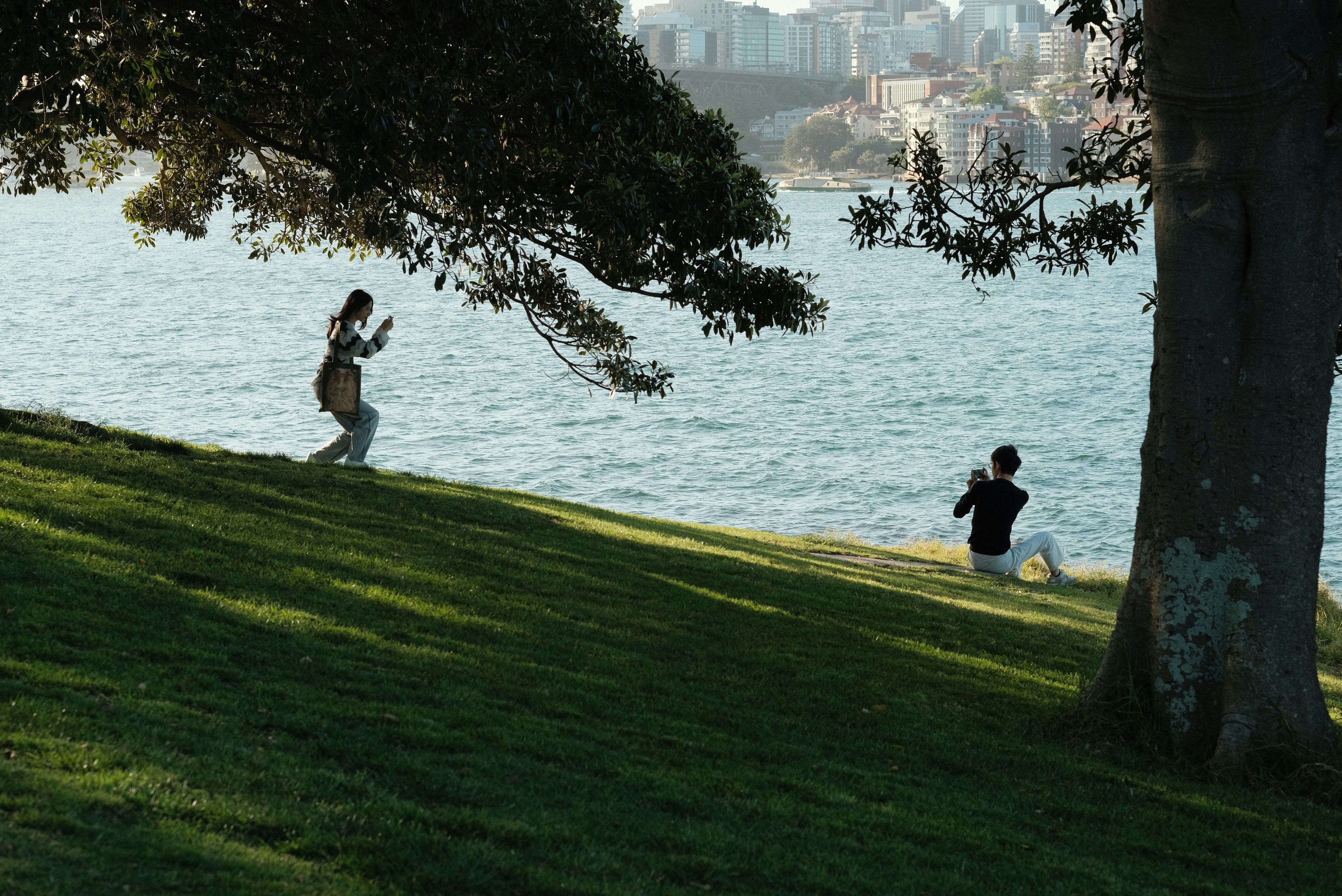 A group of people sitting on top of a lush green hillside