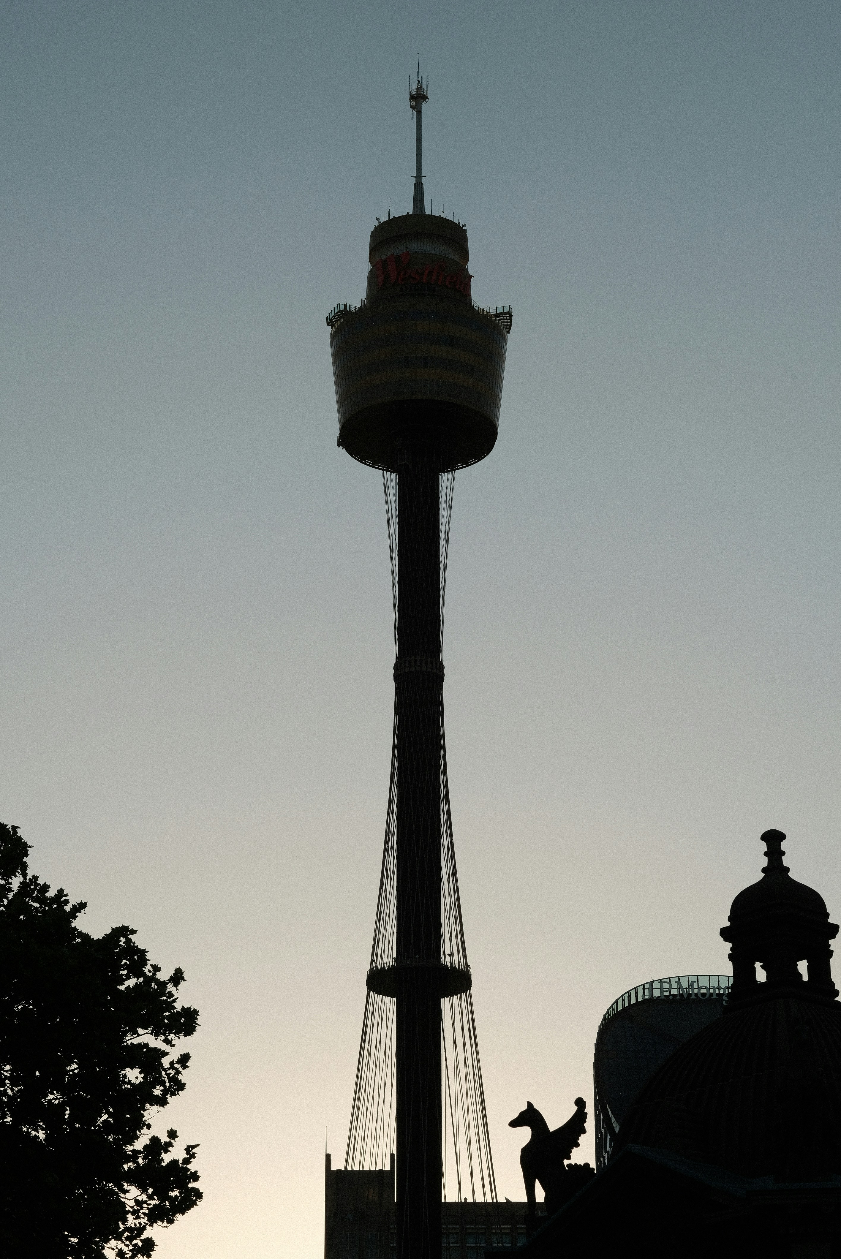 Sea Life Sydney Aquarium photo 3