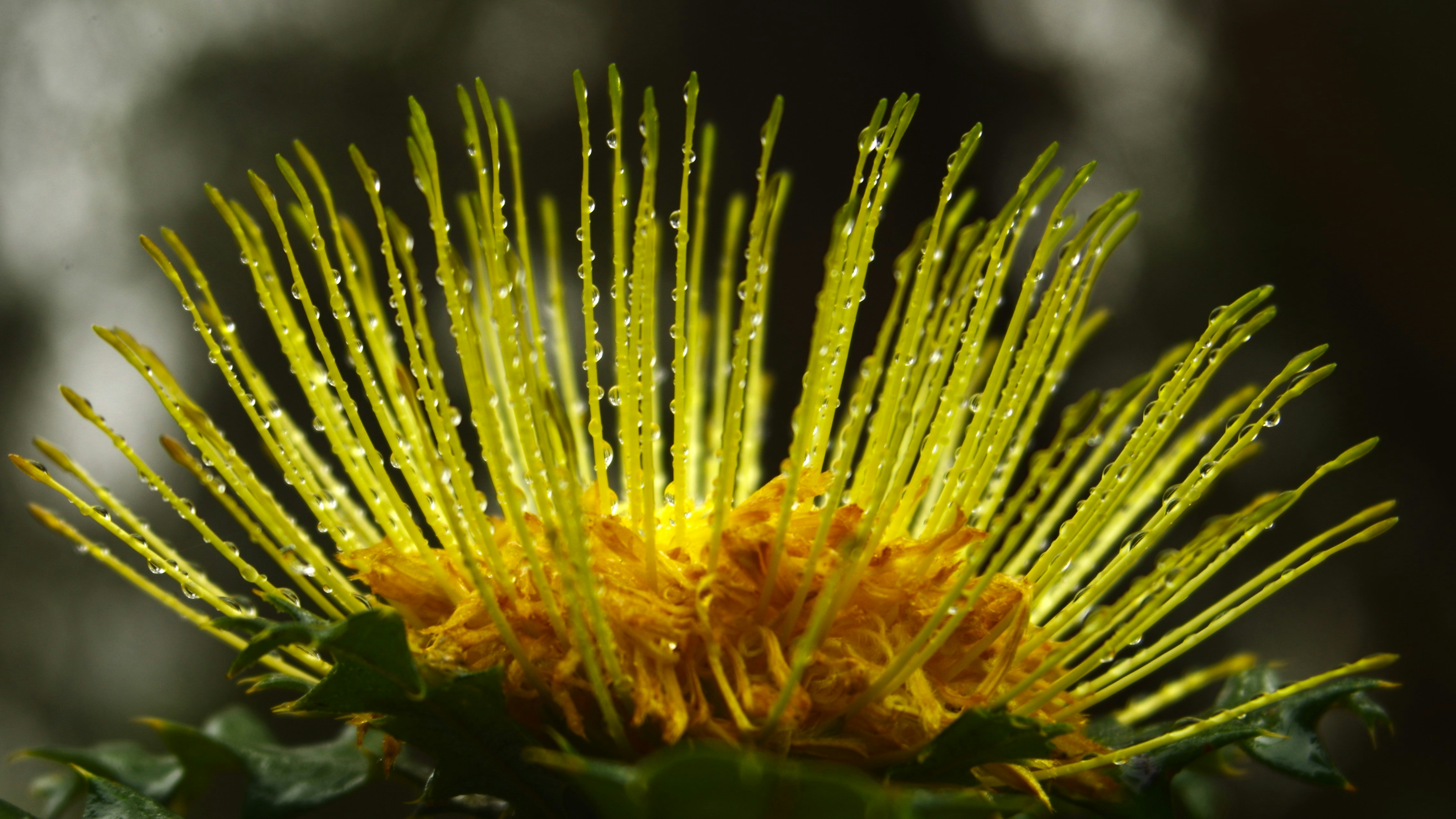 Photo by photoken123