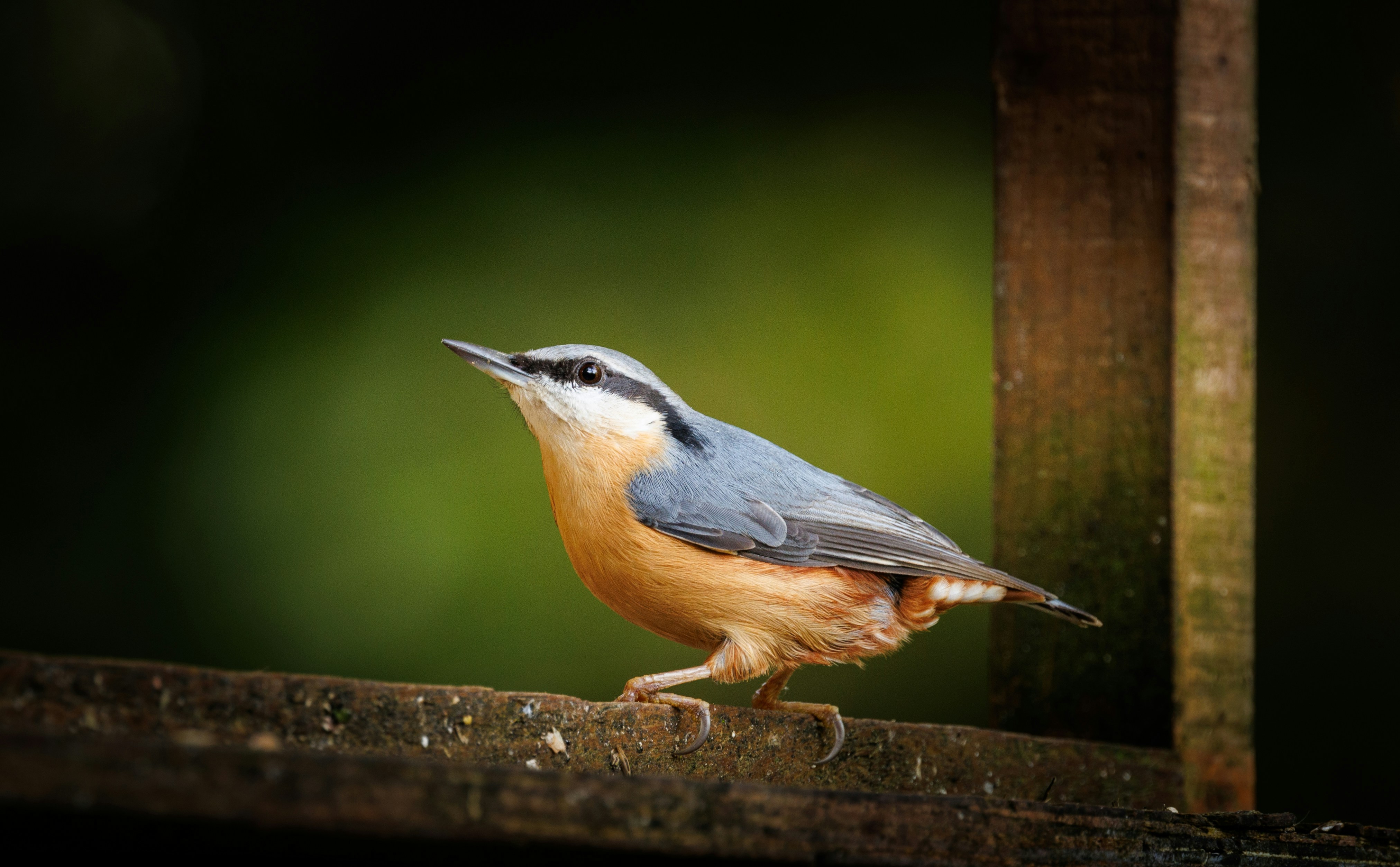 Photo by heather_wilde