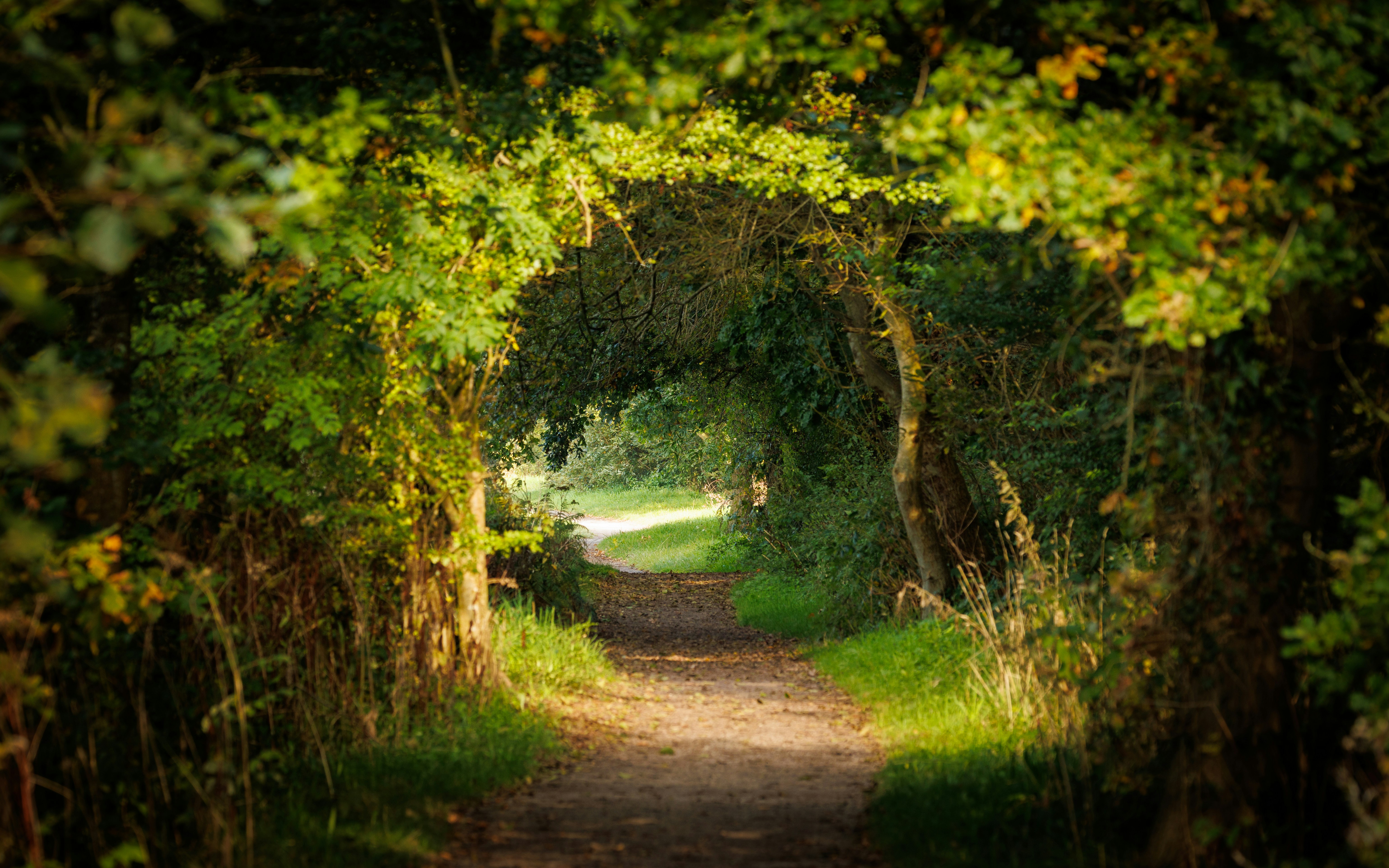 Photo by heather_wilde