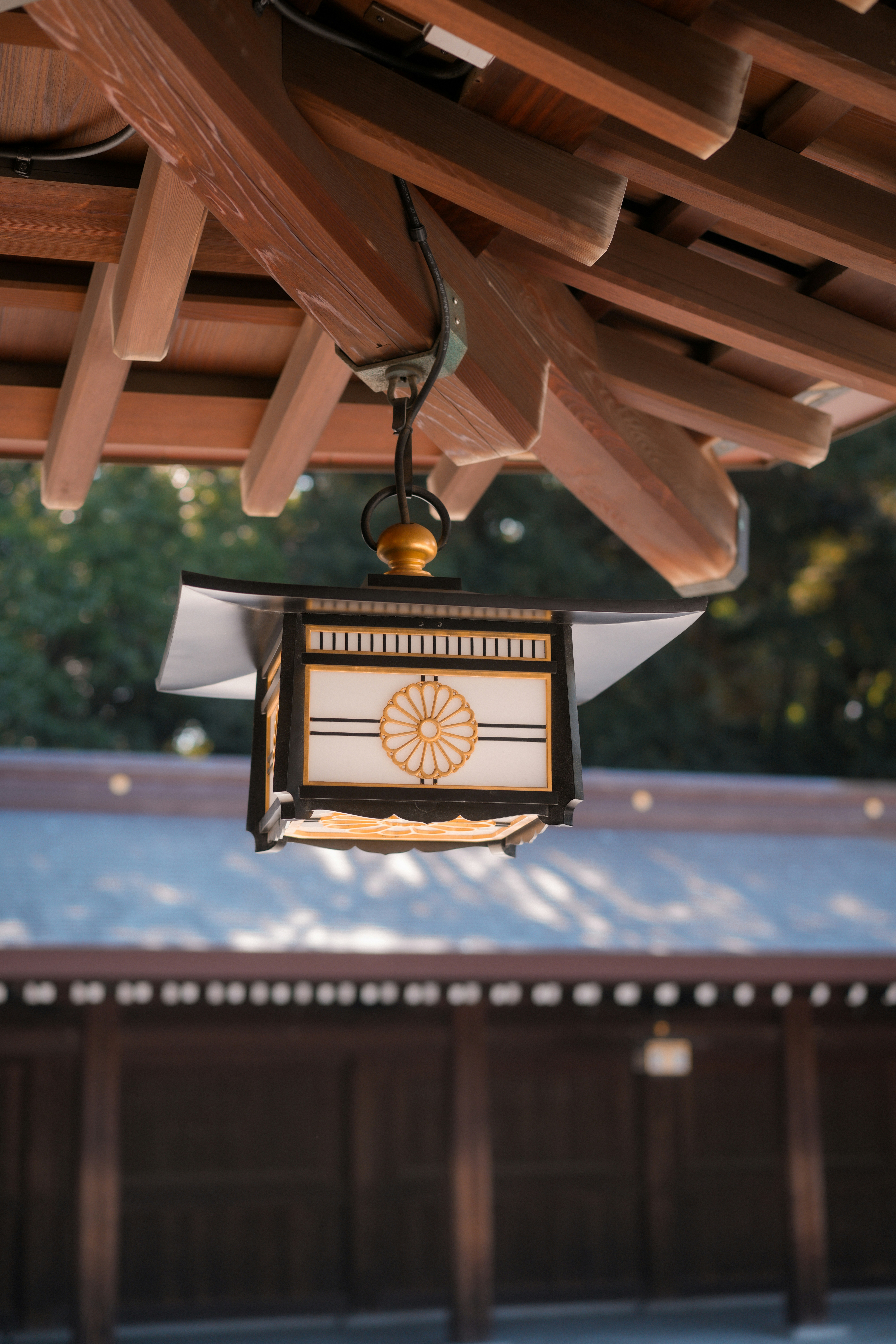 Photo by diadesigner