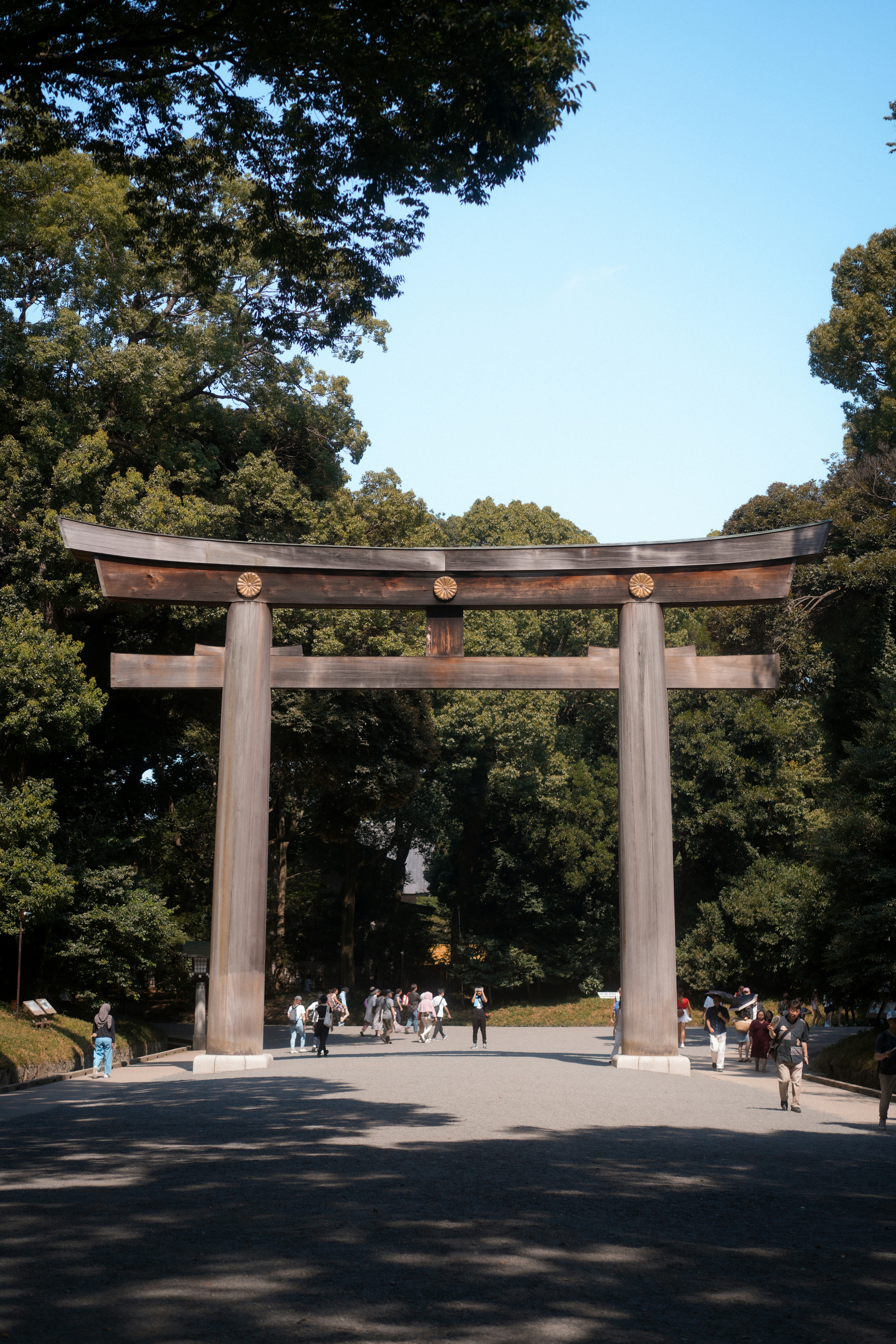 Photo by diadesigner