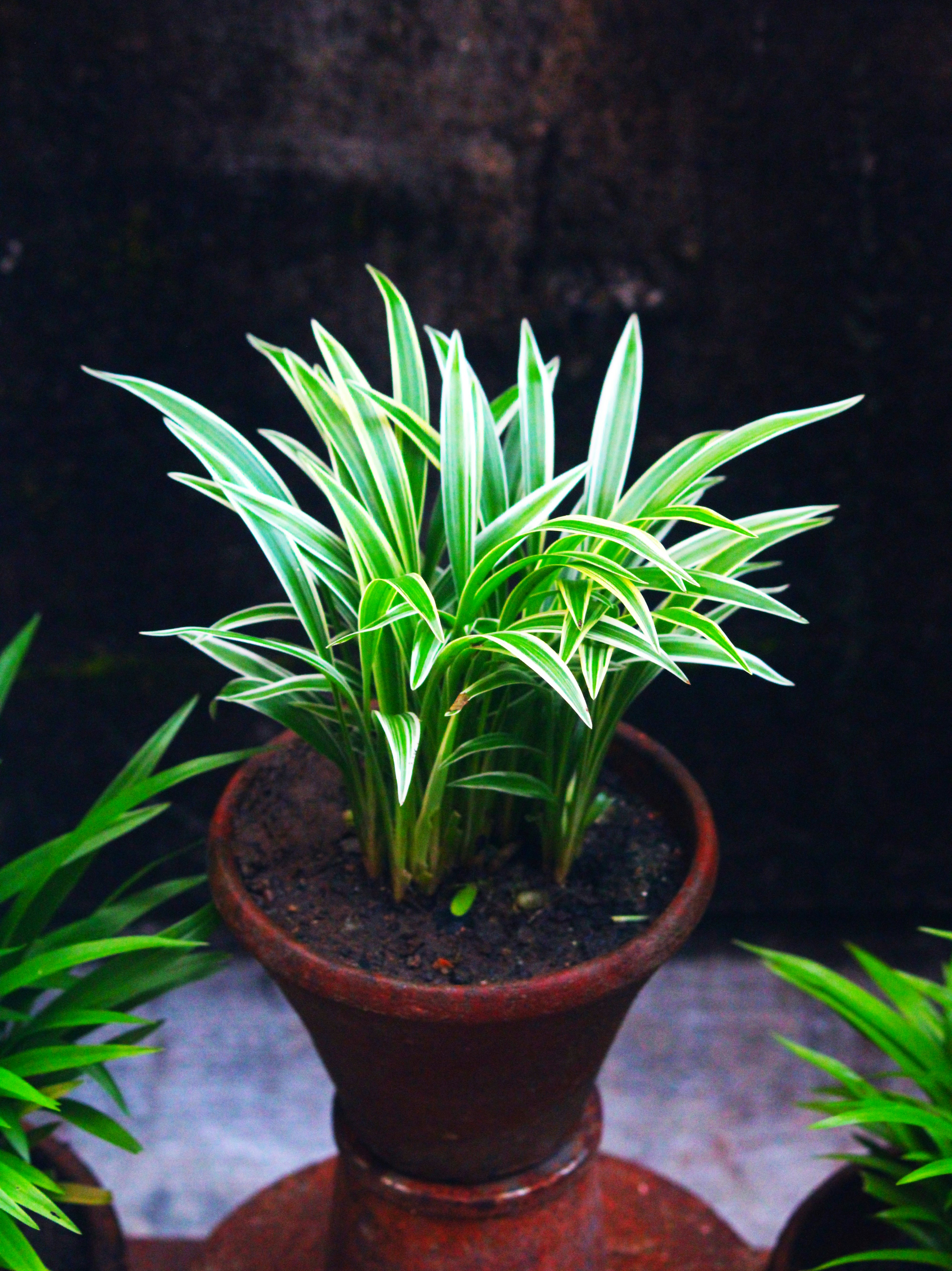 Photo by manoj_poosam