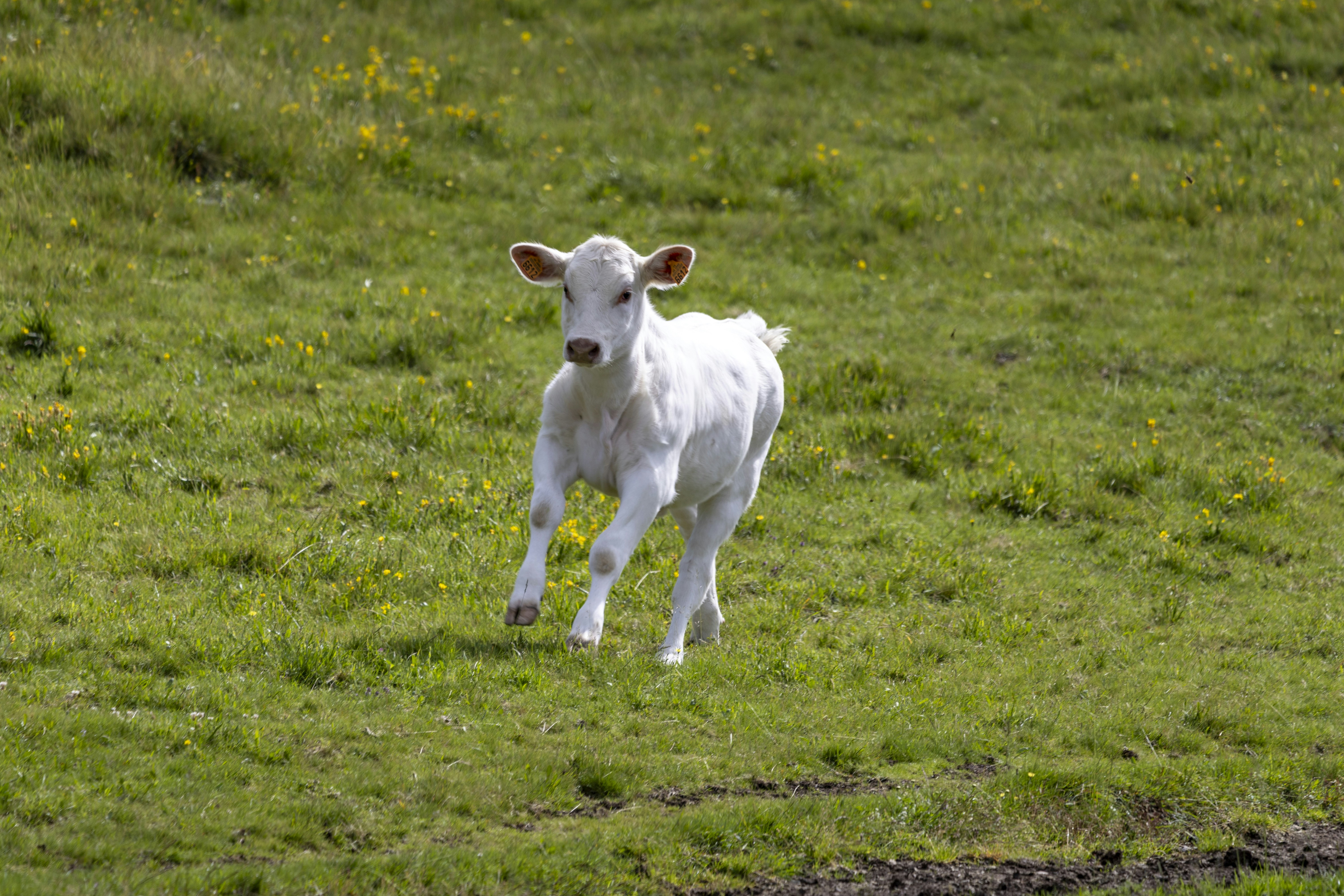 Photo by matthieur68