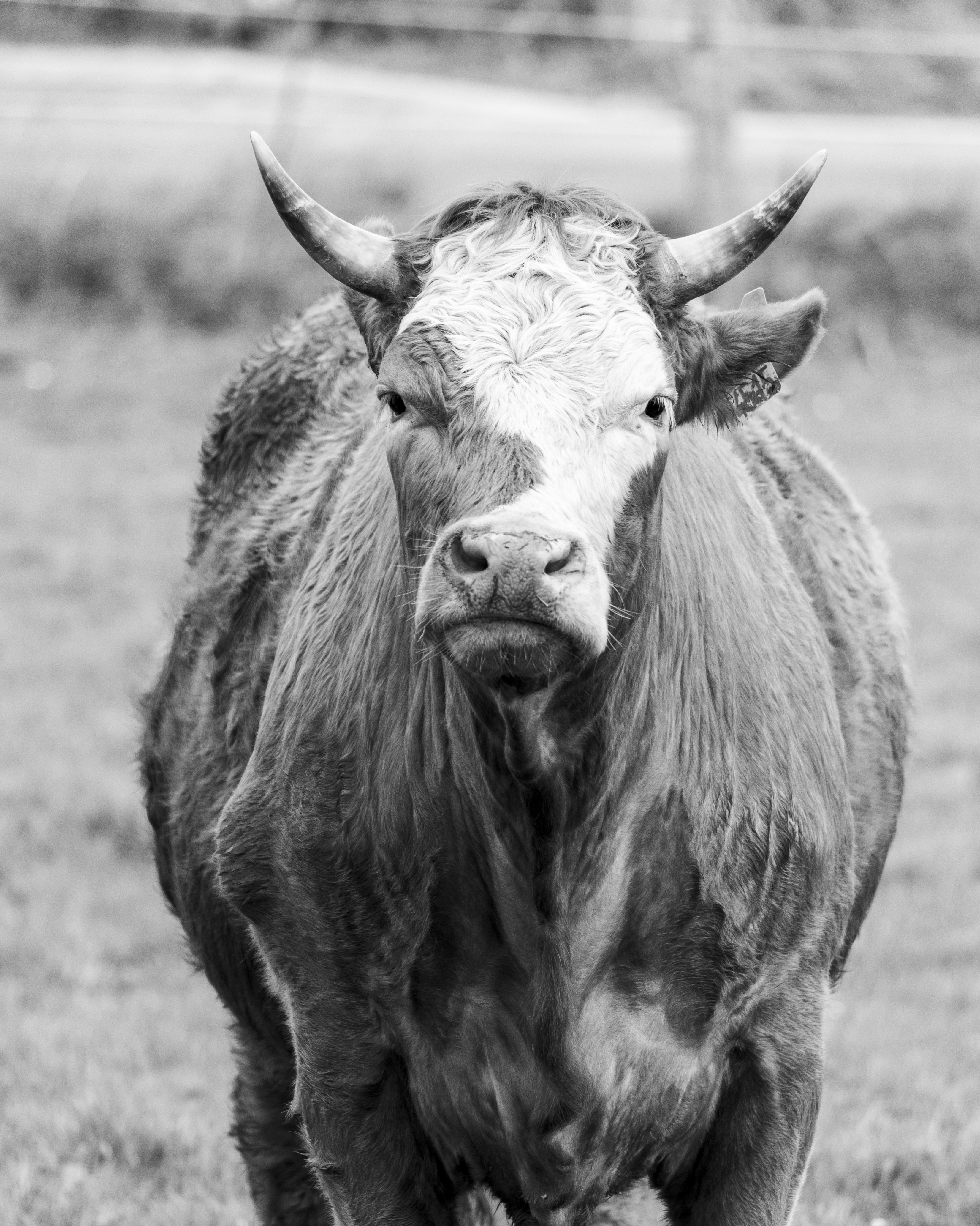 Photo by matthieur68