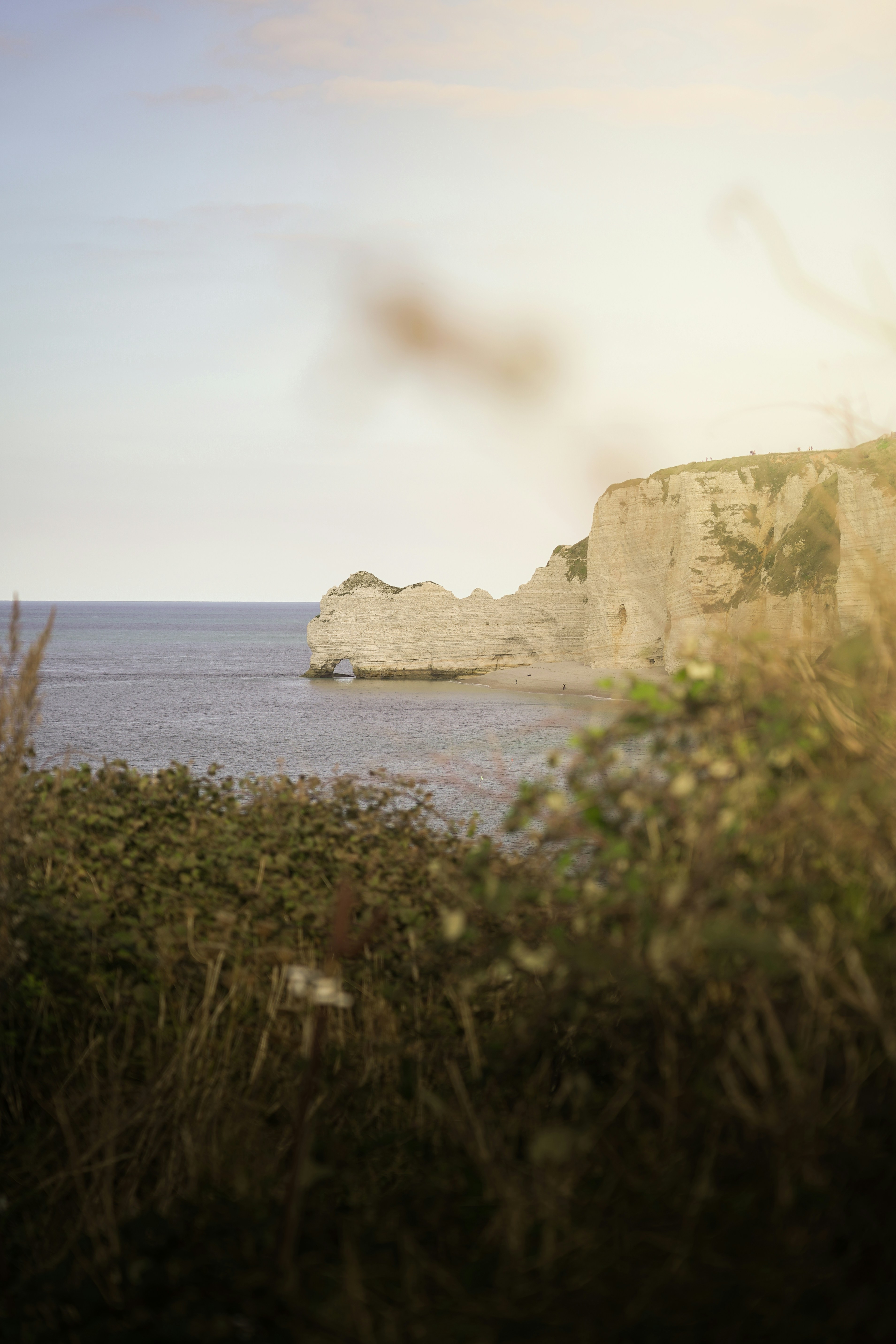 Photo by kiarash_mansouri