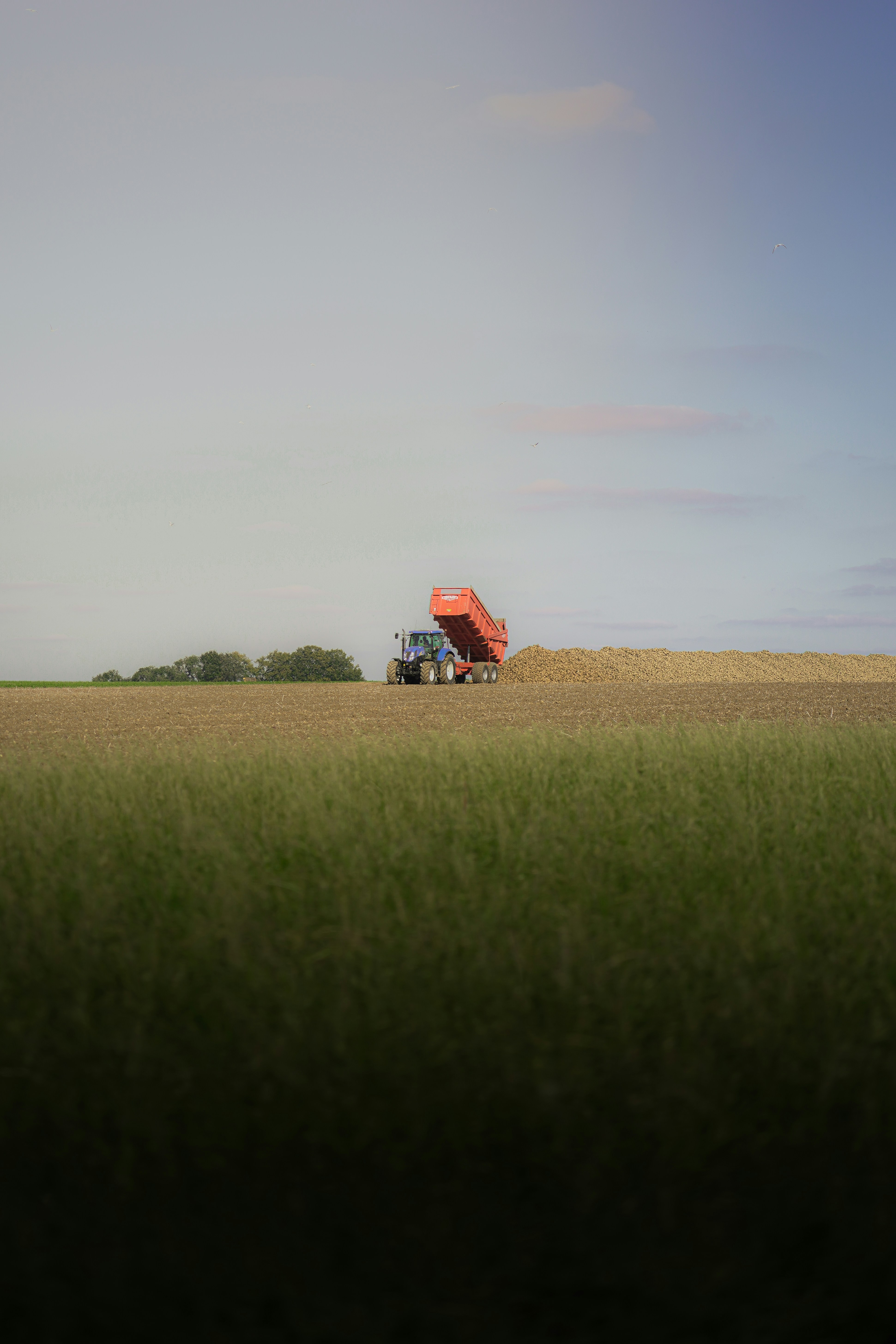 Photo by kiarash_mansouri