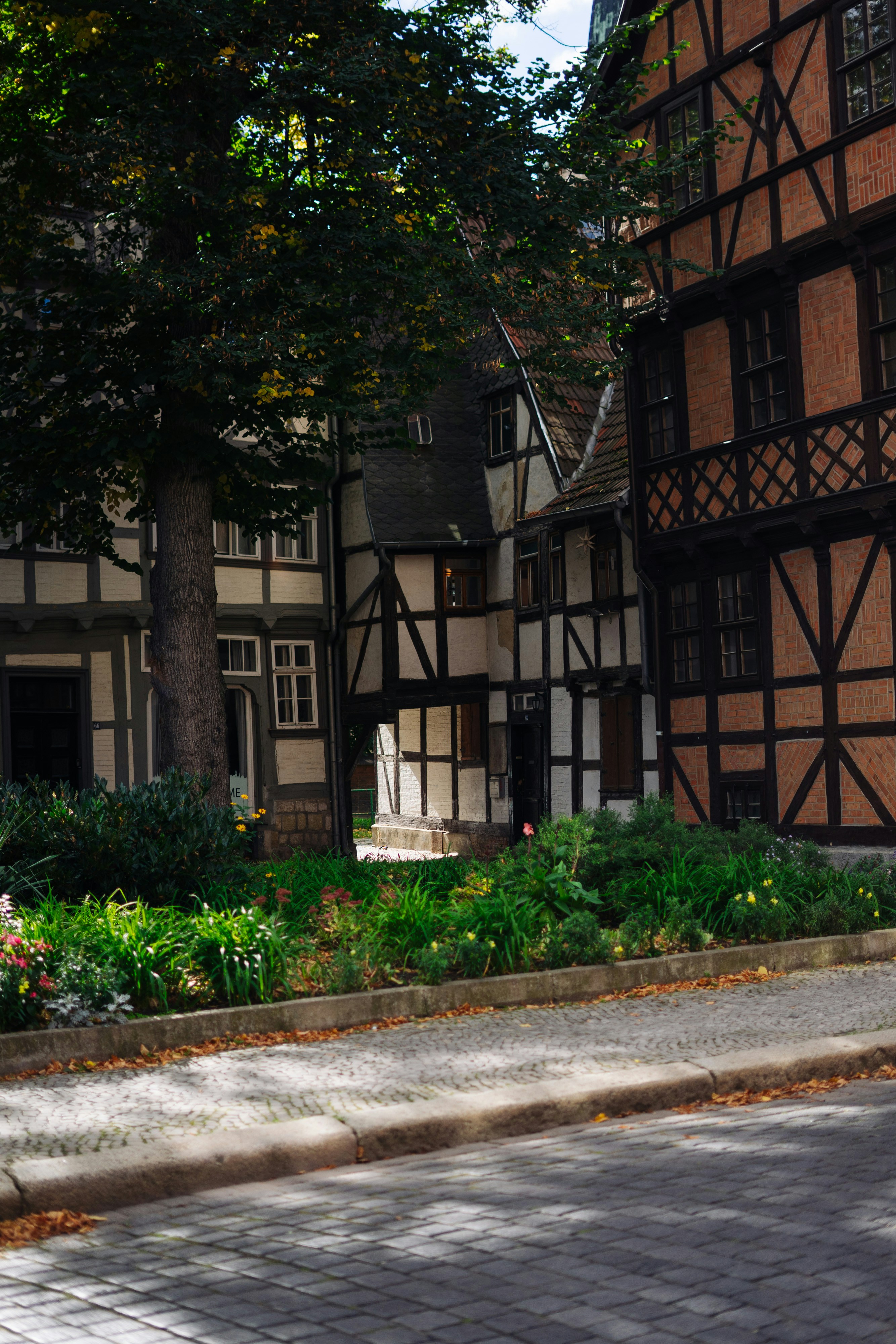 Photo by robert_lens