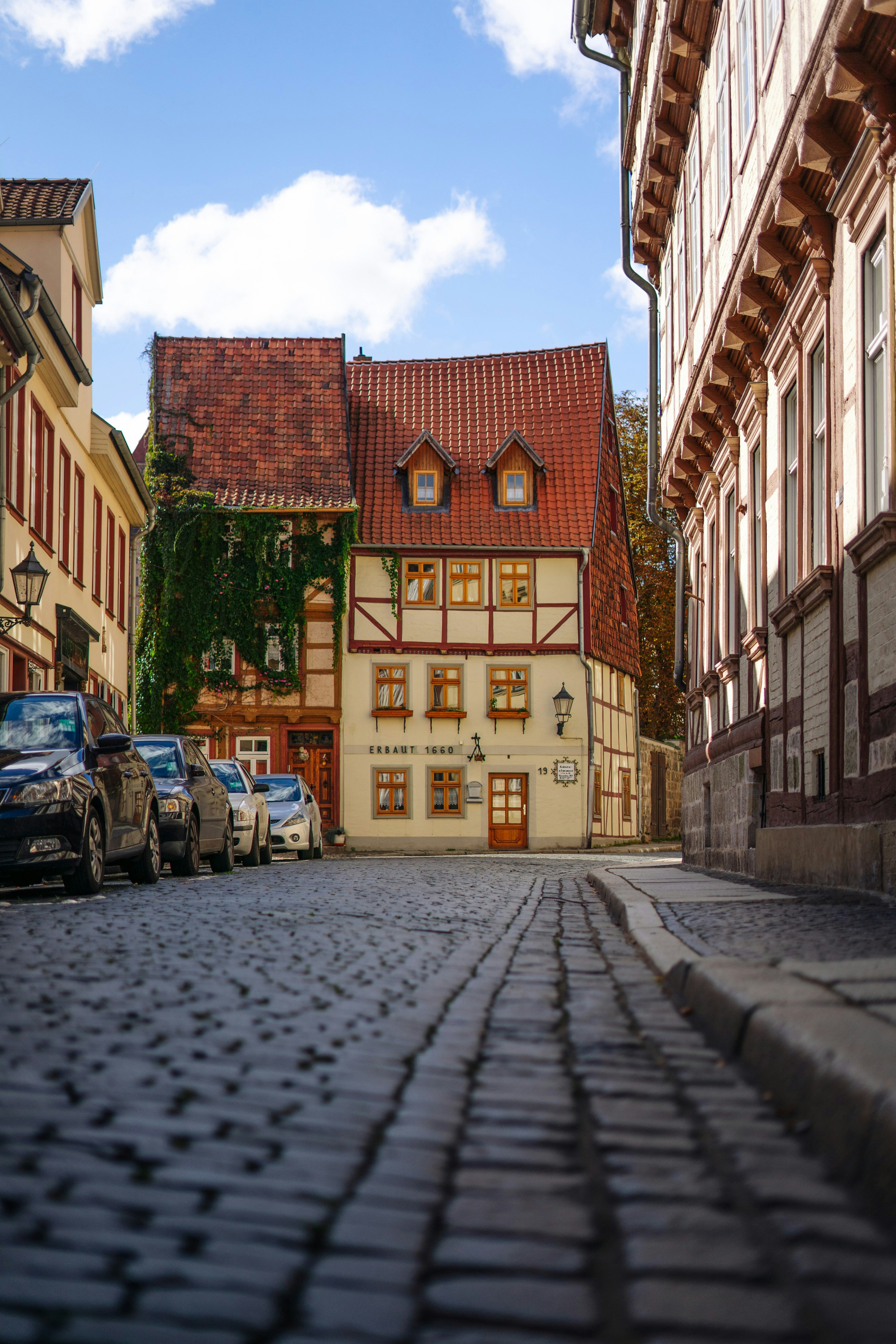 Photo by robert_lens