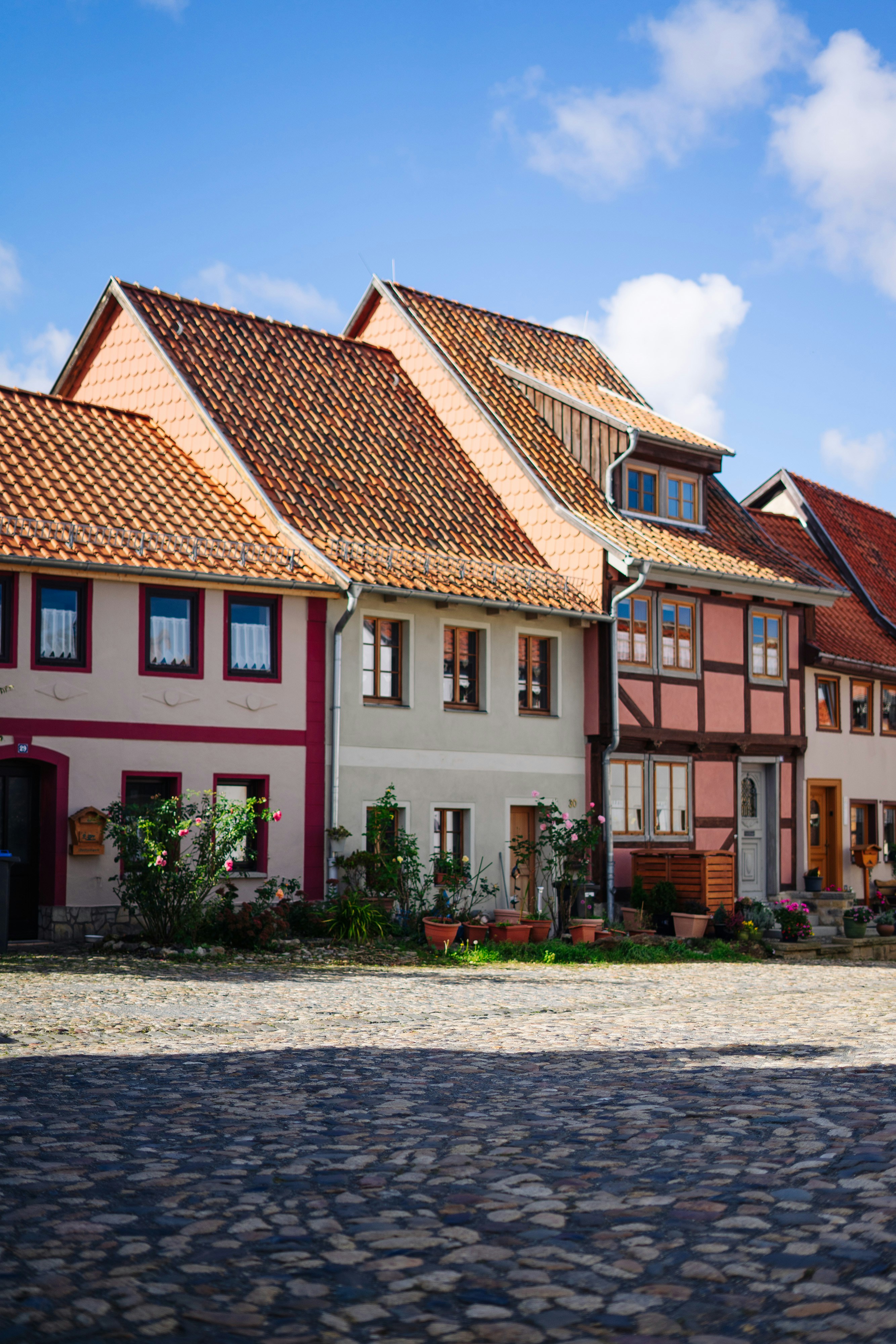 A cobblestone street in front of a row of houses