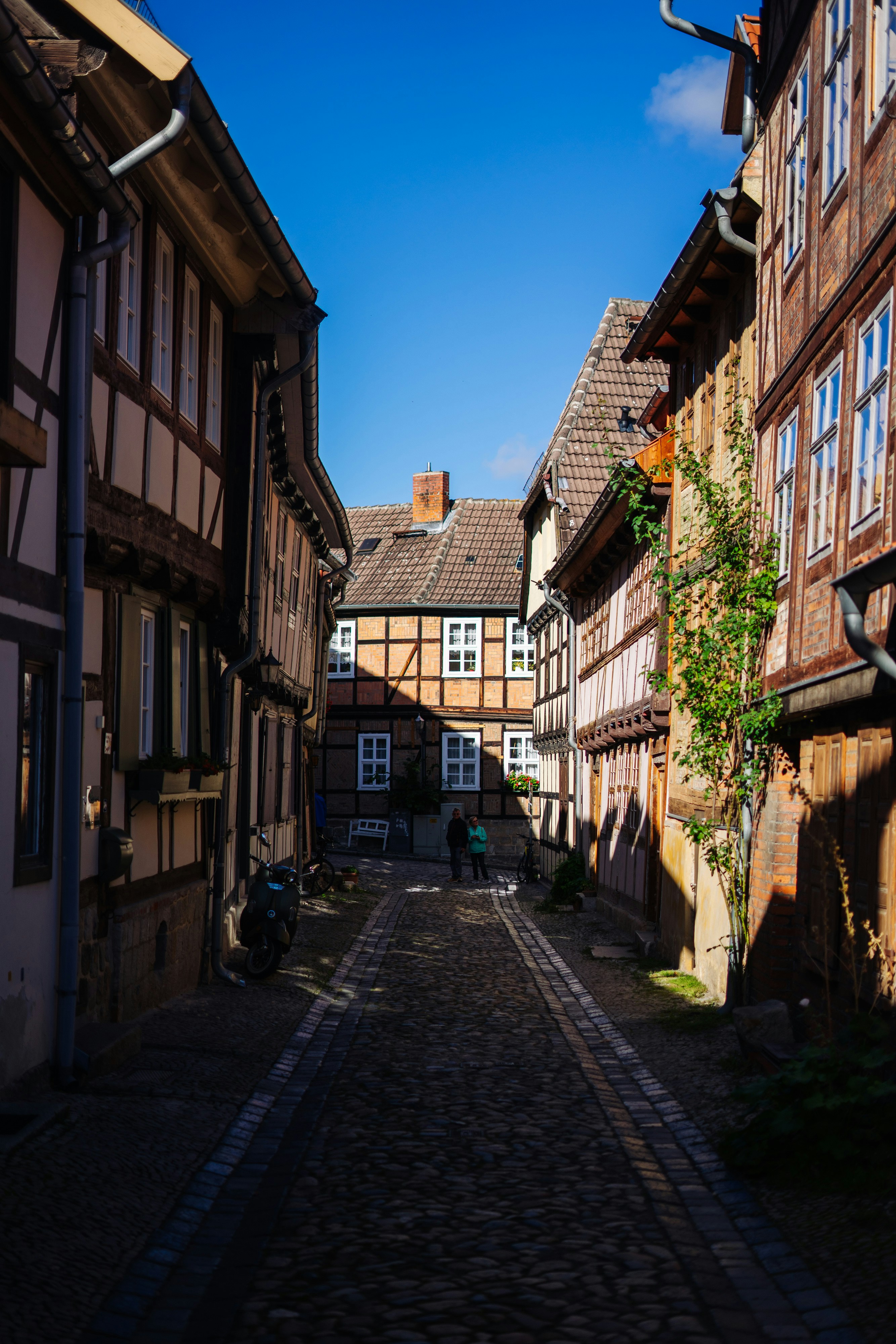 Photo by robert_lens