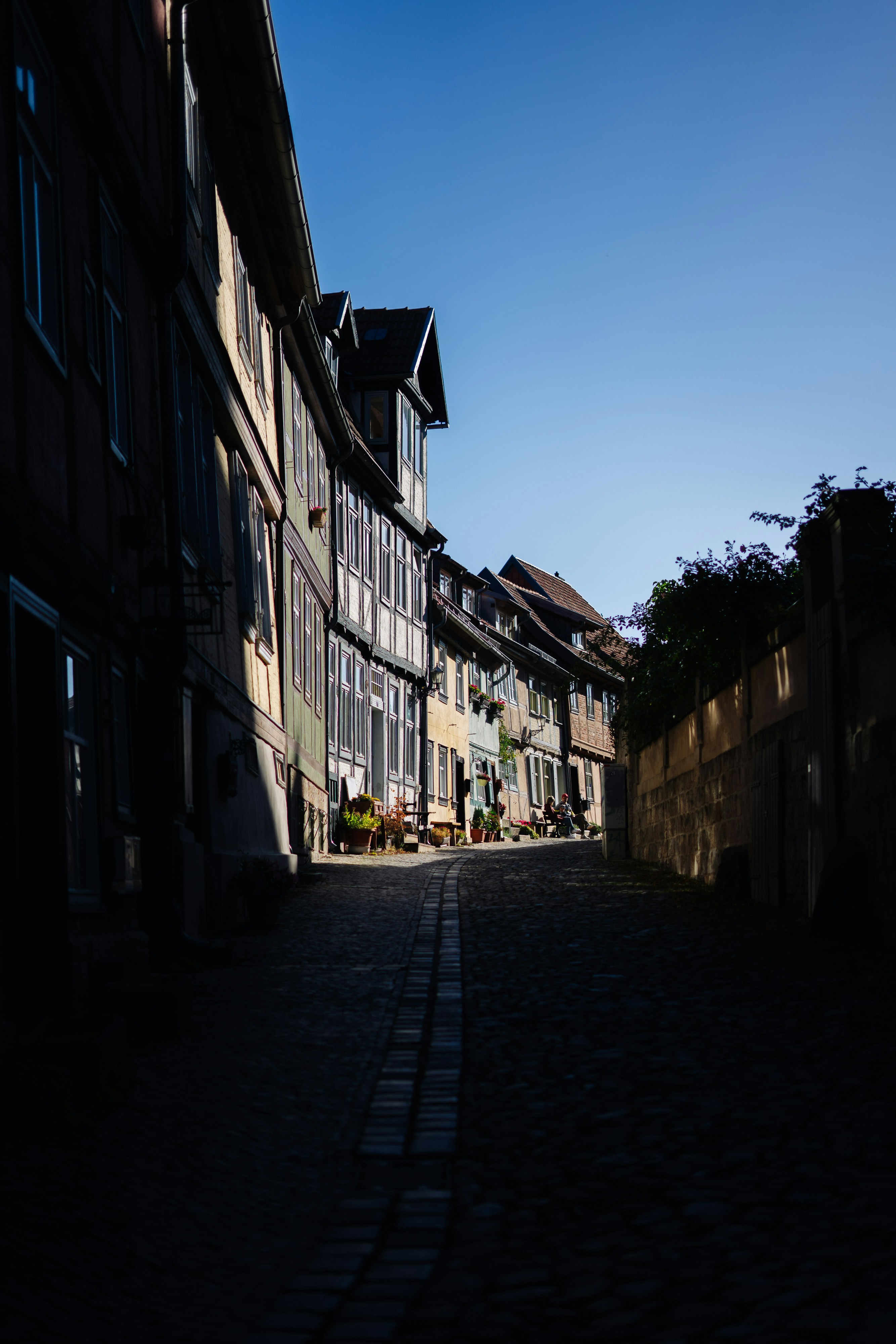 Photo by robert_lens