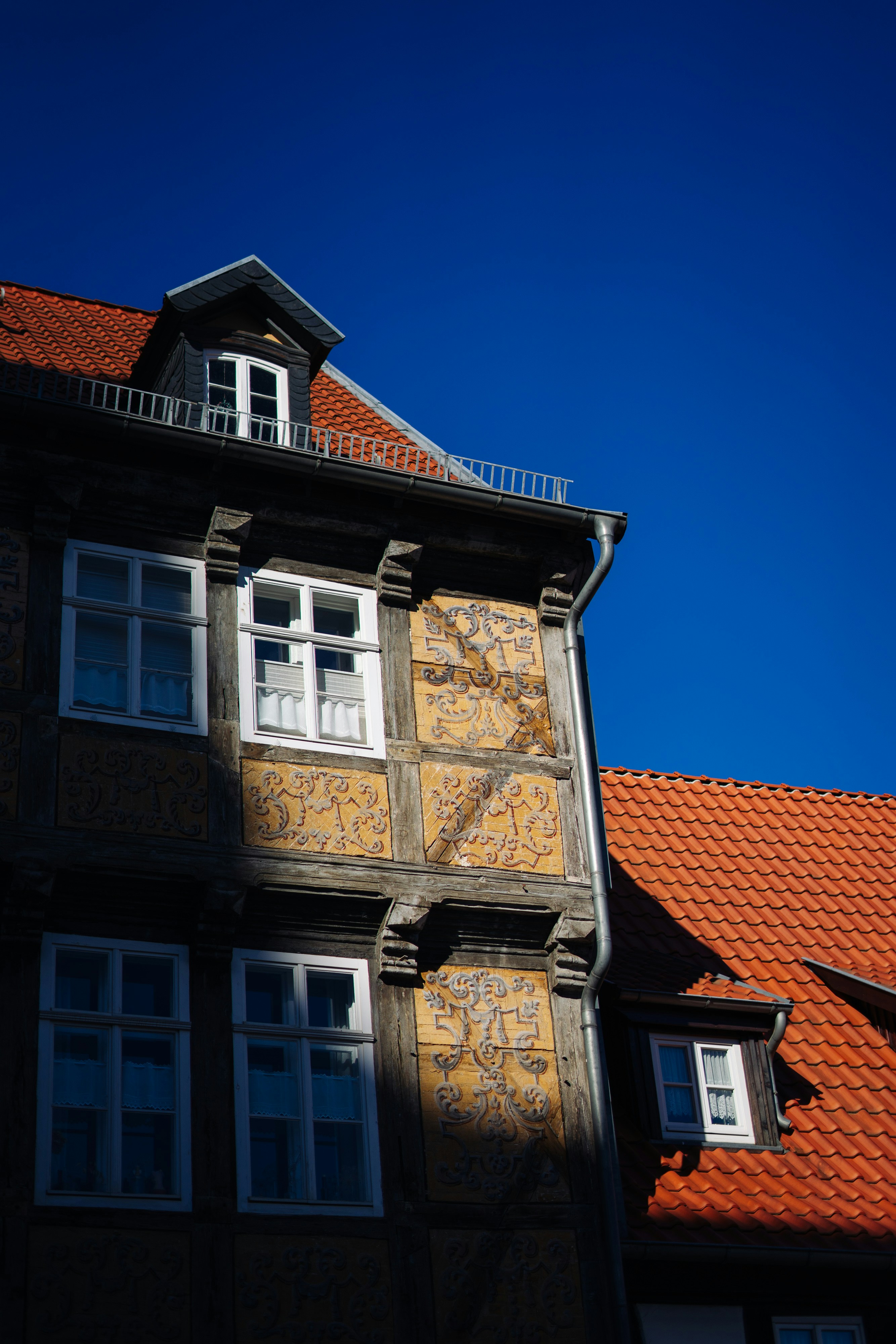 Photo by robert_lens