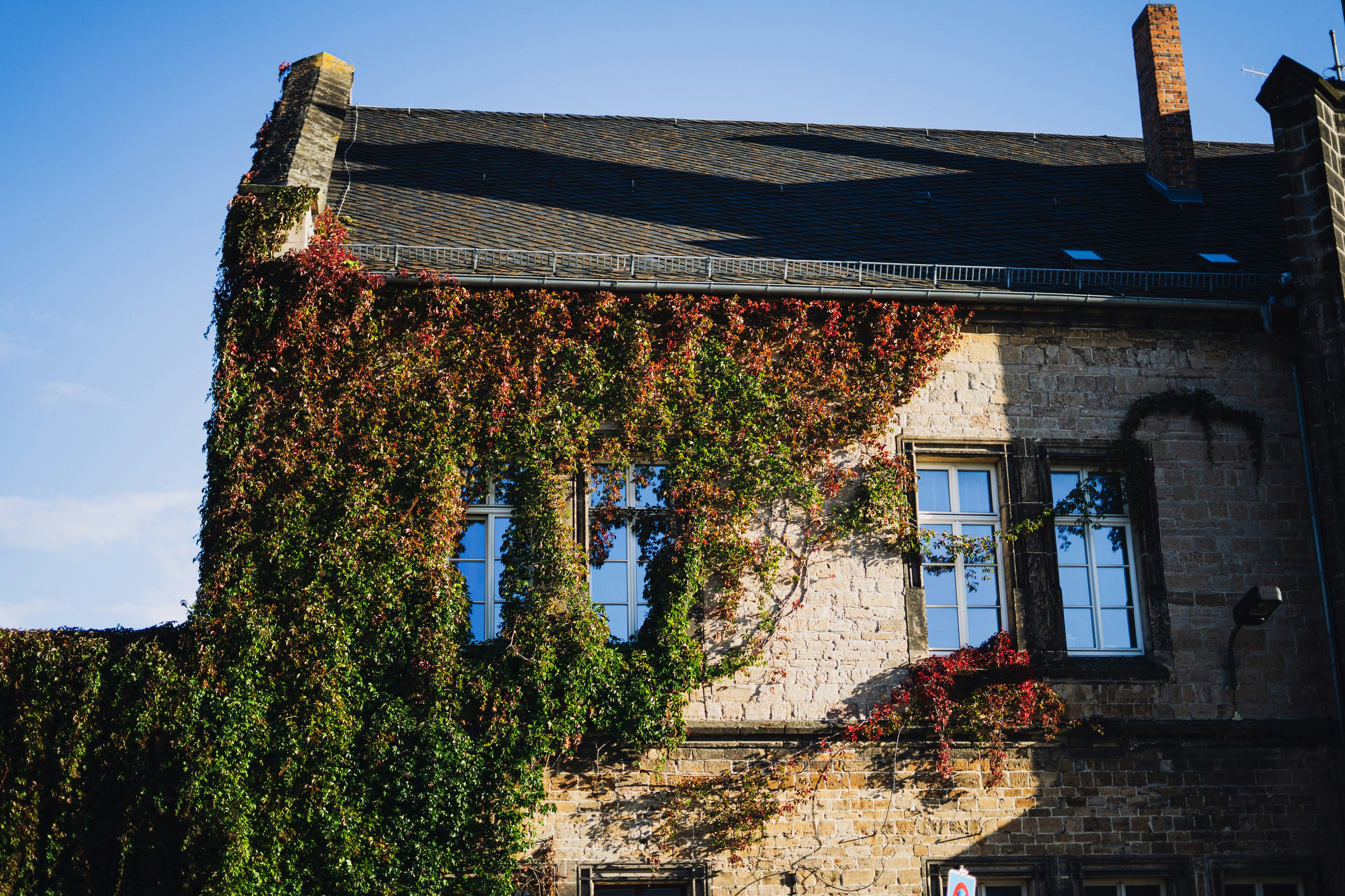 Photo by robert_lens