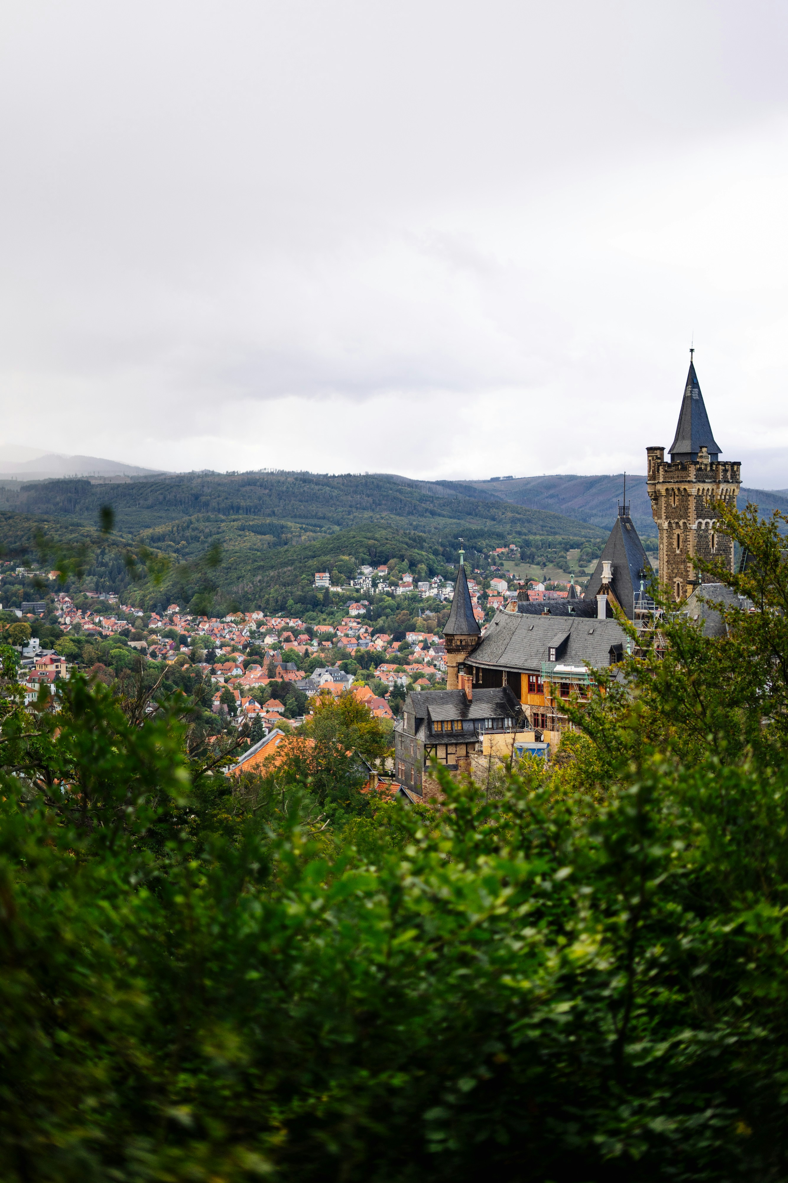 Photo by robert_lens