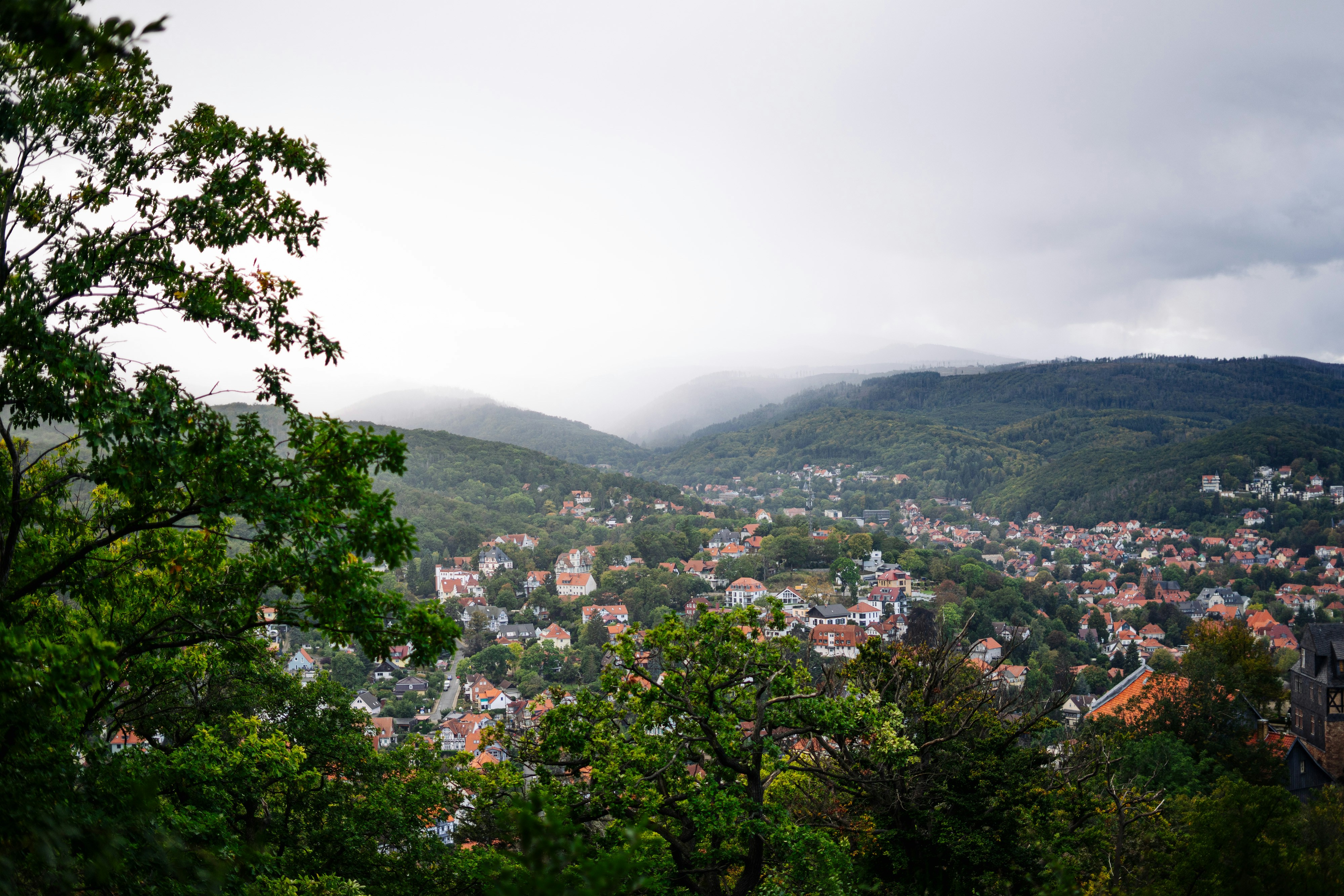 Photo by robert_lens