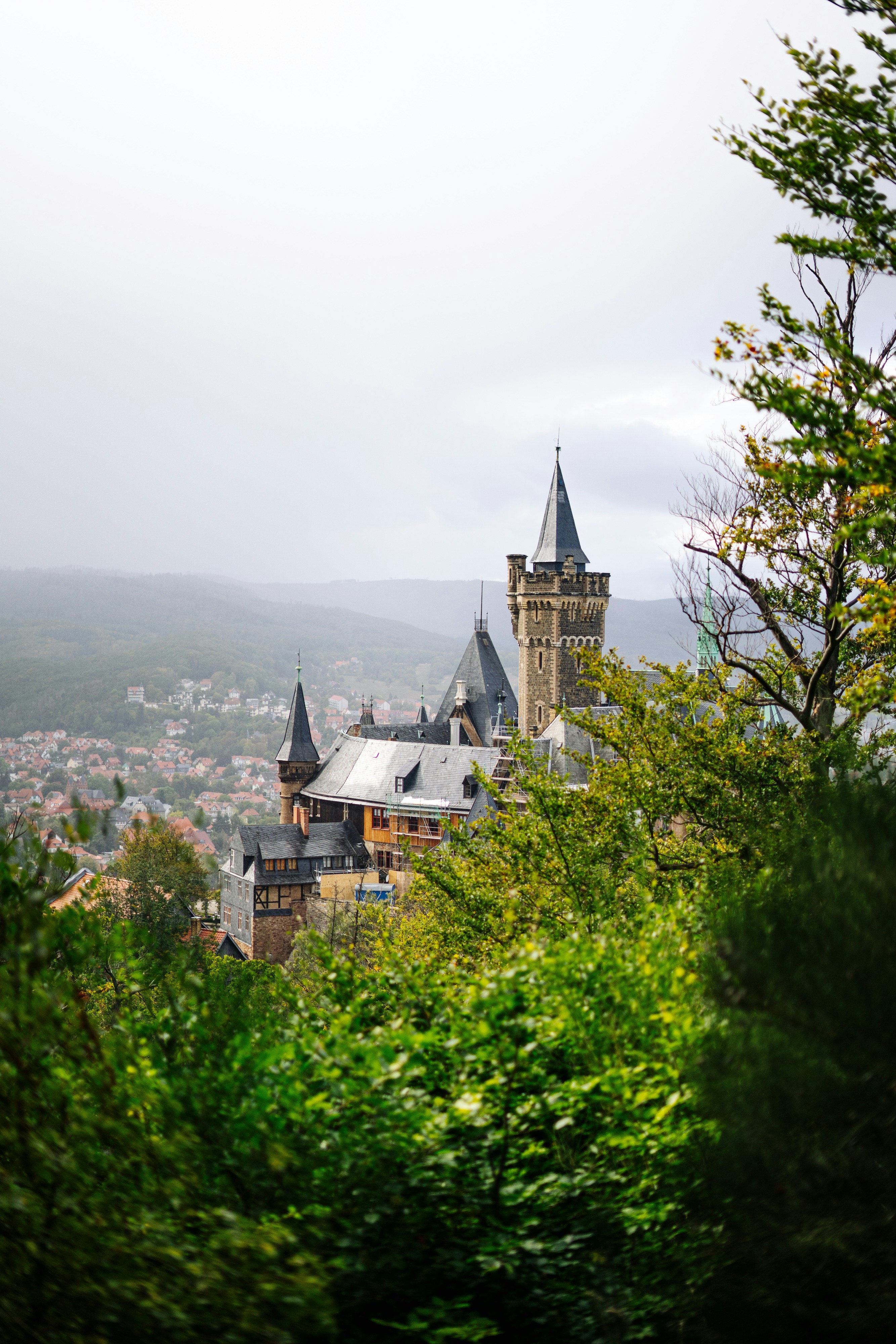 Photo by robert_lens