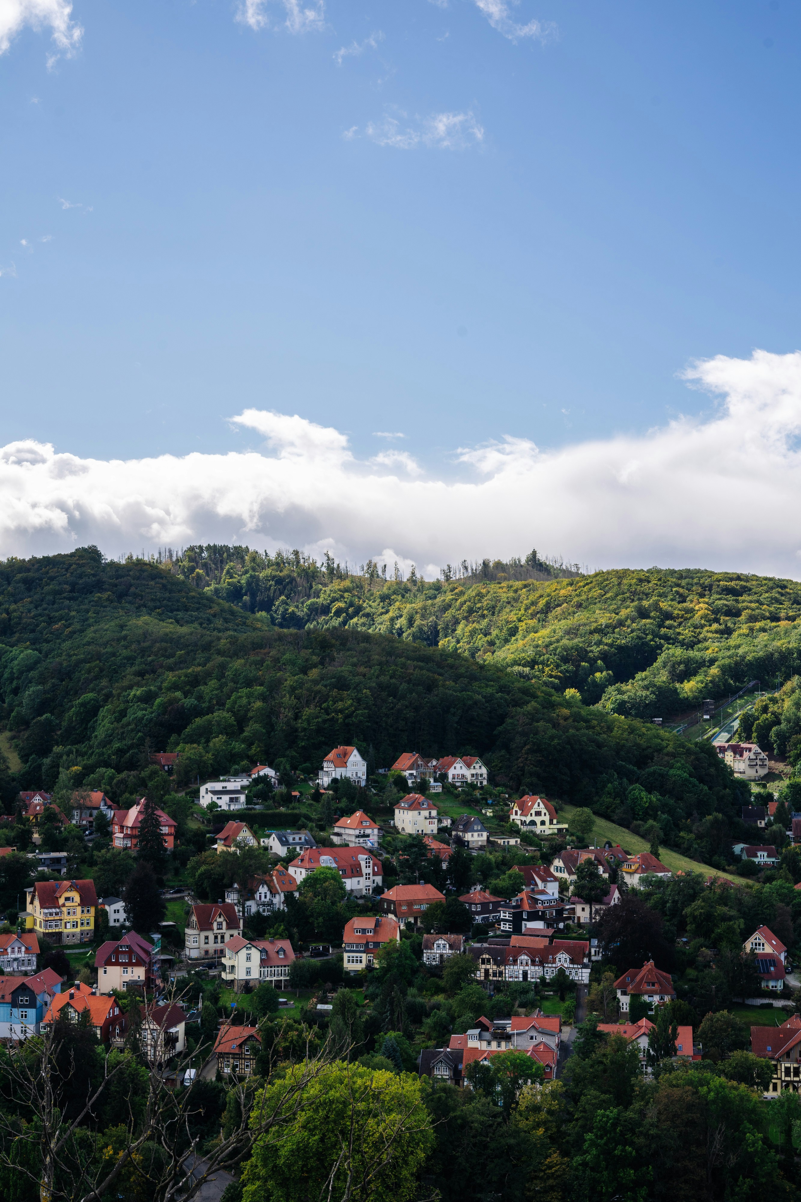 Photo by robert_lens