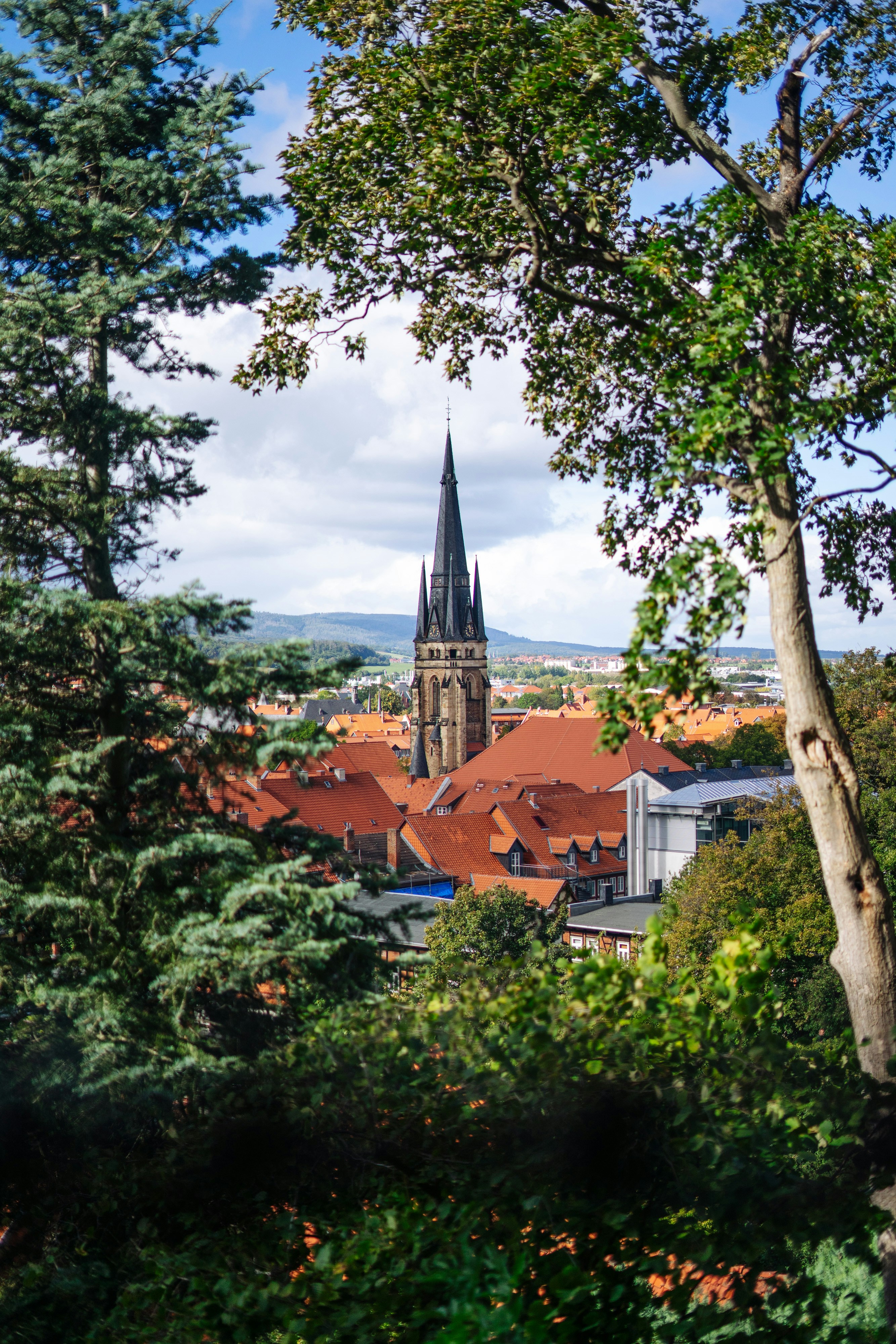 Photo by robert_lens