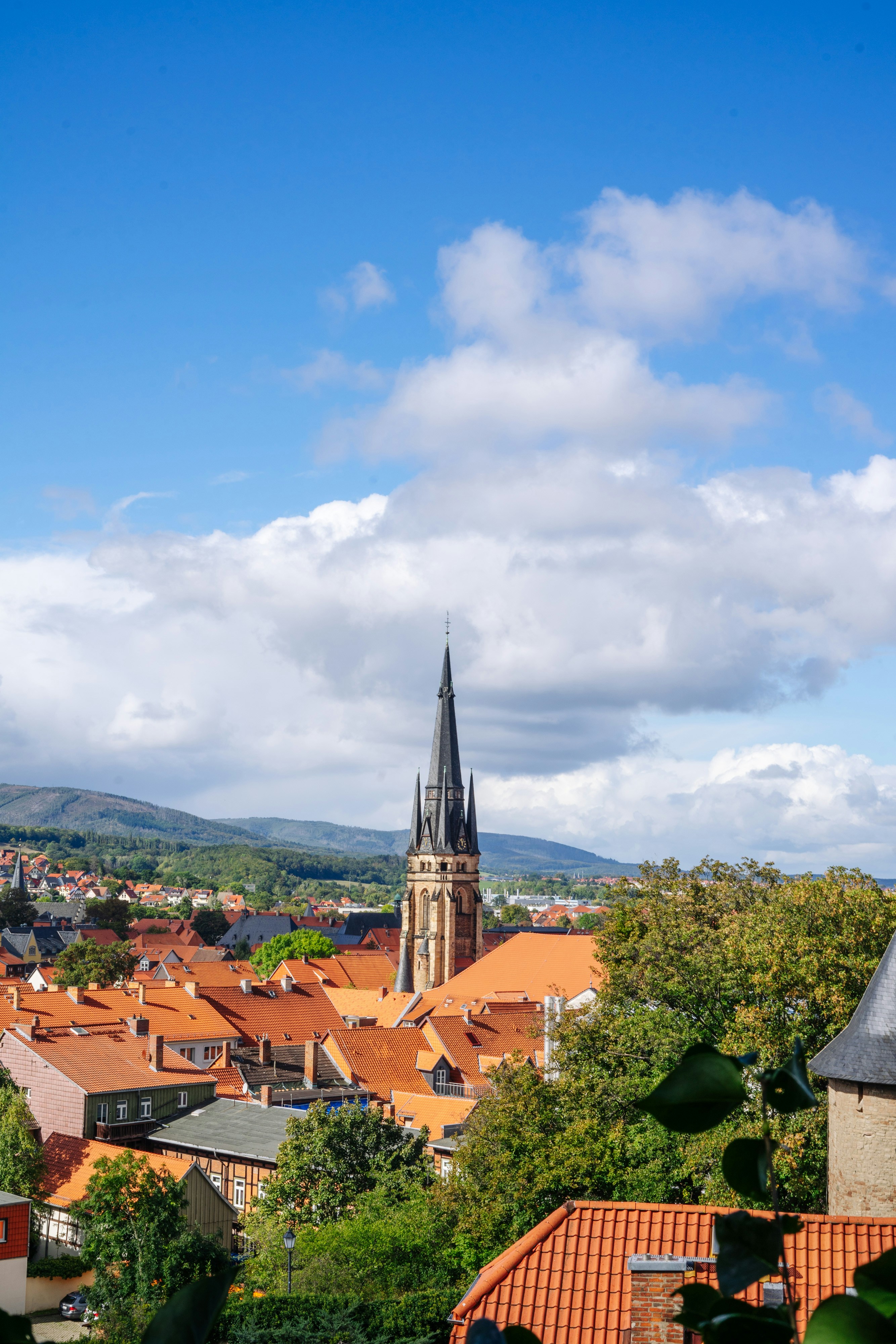 Photo by robert_lens